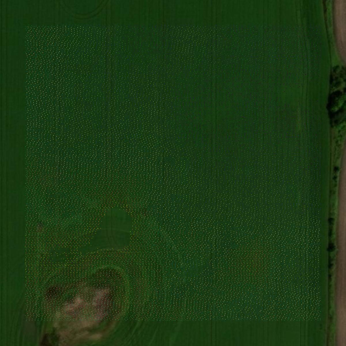 This image shows a LiDAR point cloud in Mahnomen County created using GIS data in Equator.
