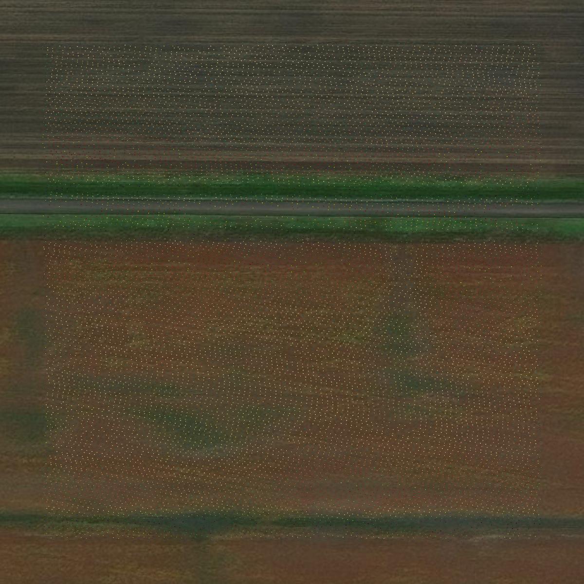 This image shows a LiDAR point cloud in Marshall County created using GIS data in Equator.