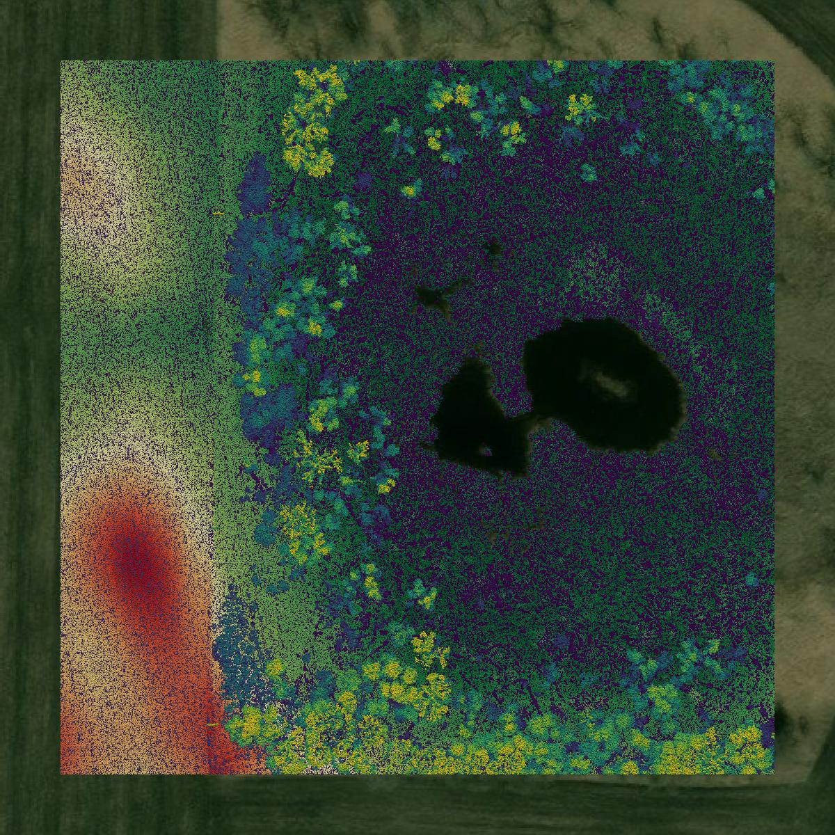 This image shows a LiDAR point cloud in McLeod County created using GIS data in Equator.