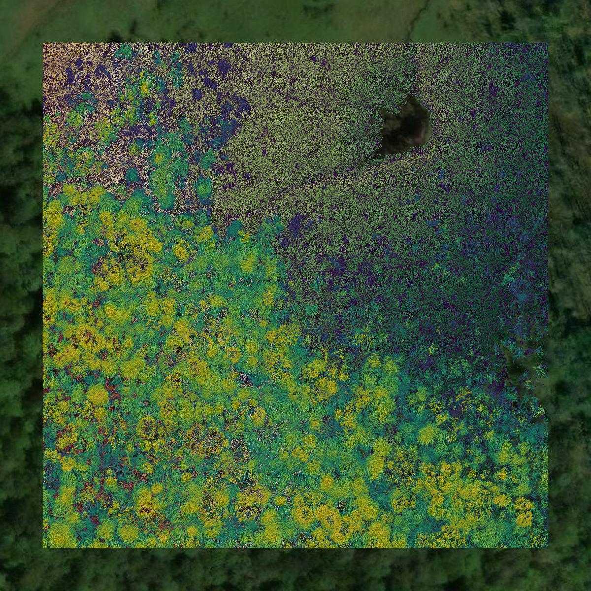 This image shows a LiDAR point cloud in Mille Lacs County created using GIS data in Equator.
