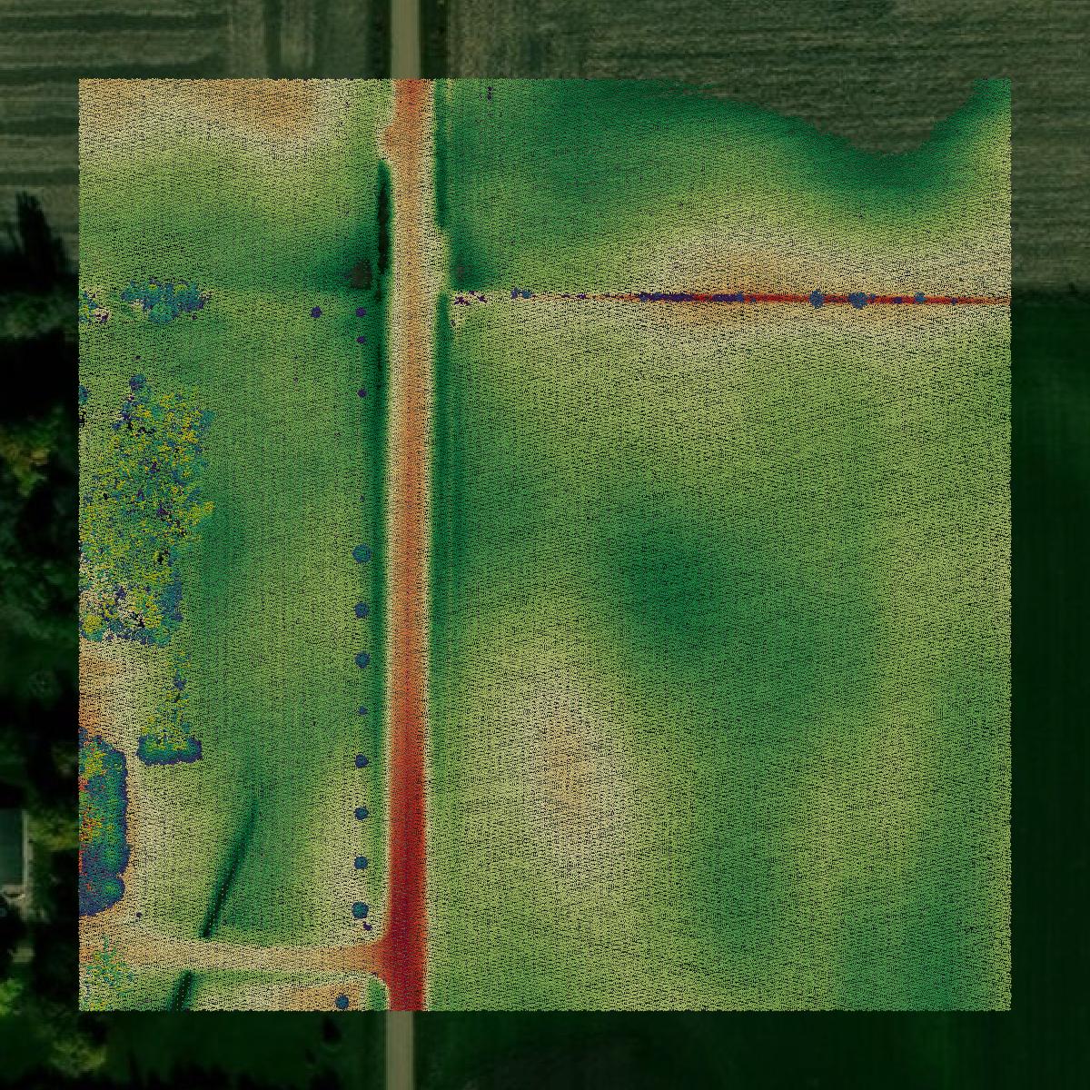 This image shows a LiDAR point cloud in Murray County created using GIS data in Equator.