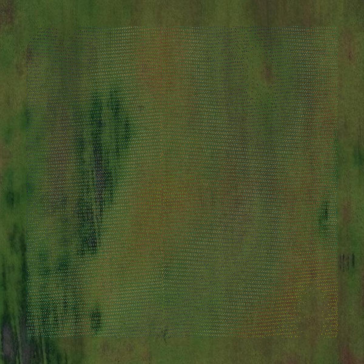 This image shows a LiDAR point cloud in Nicollet County created using GIS data in Equator.