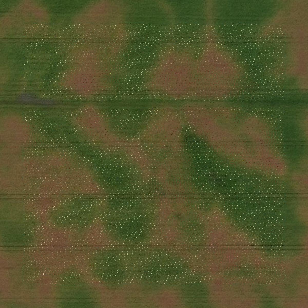 This image shows a LiDAR point cloud in Norman County created using GIS data in Equator.