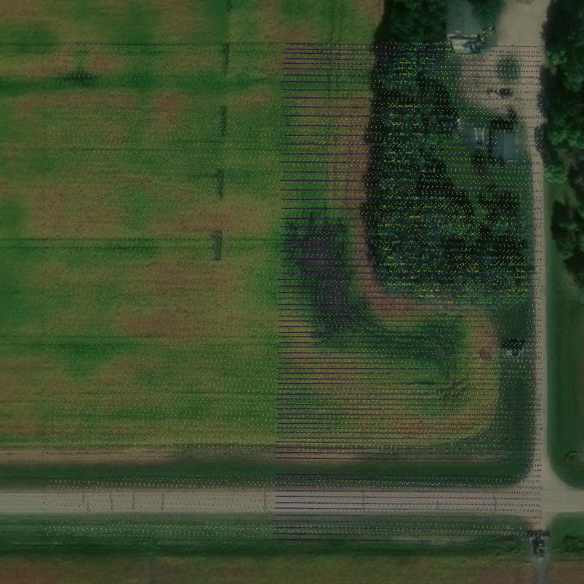 This image shows a LiDAR point cloud in Norman County created using GIS data in Equator.