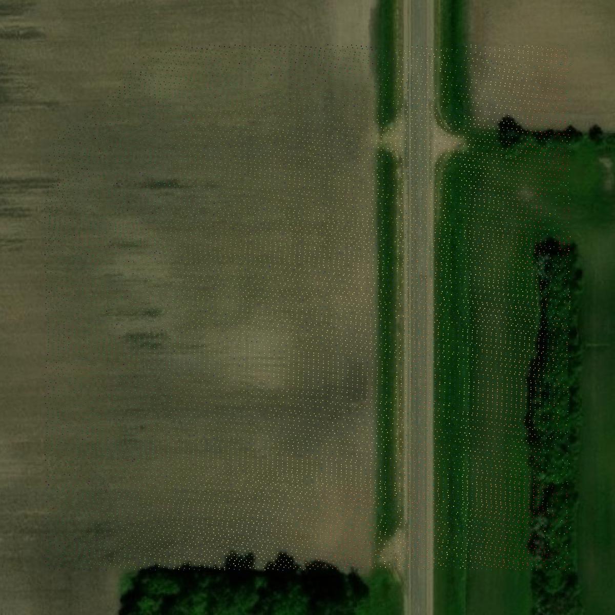 This image shows a LiDAR point cloud in Otter Tail County created using GIS data in Equator.