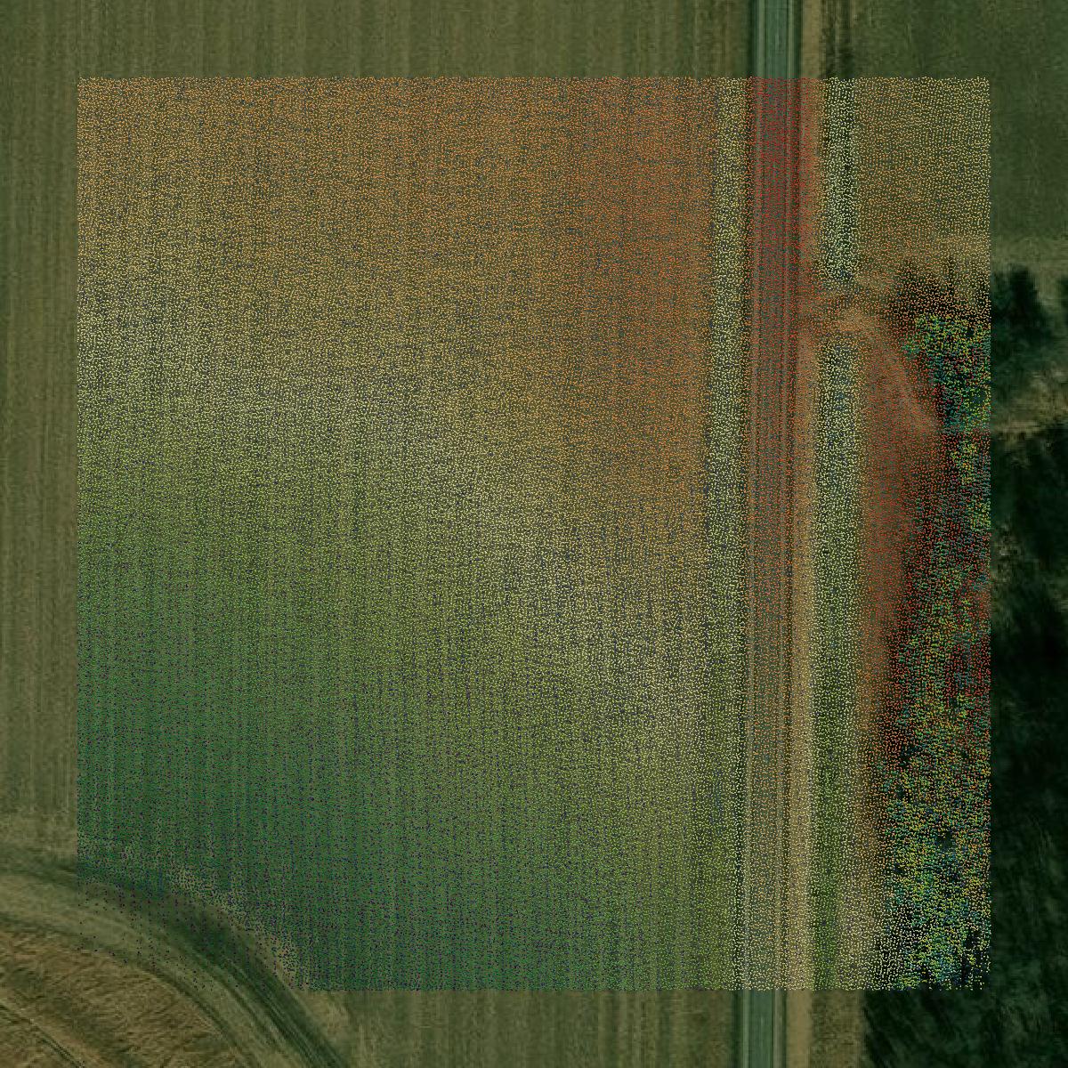 This image shows a LiDAR point cloud in Pine County created using GIS data in Equator.