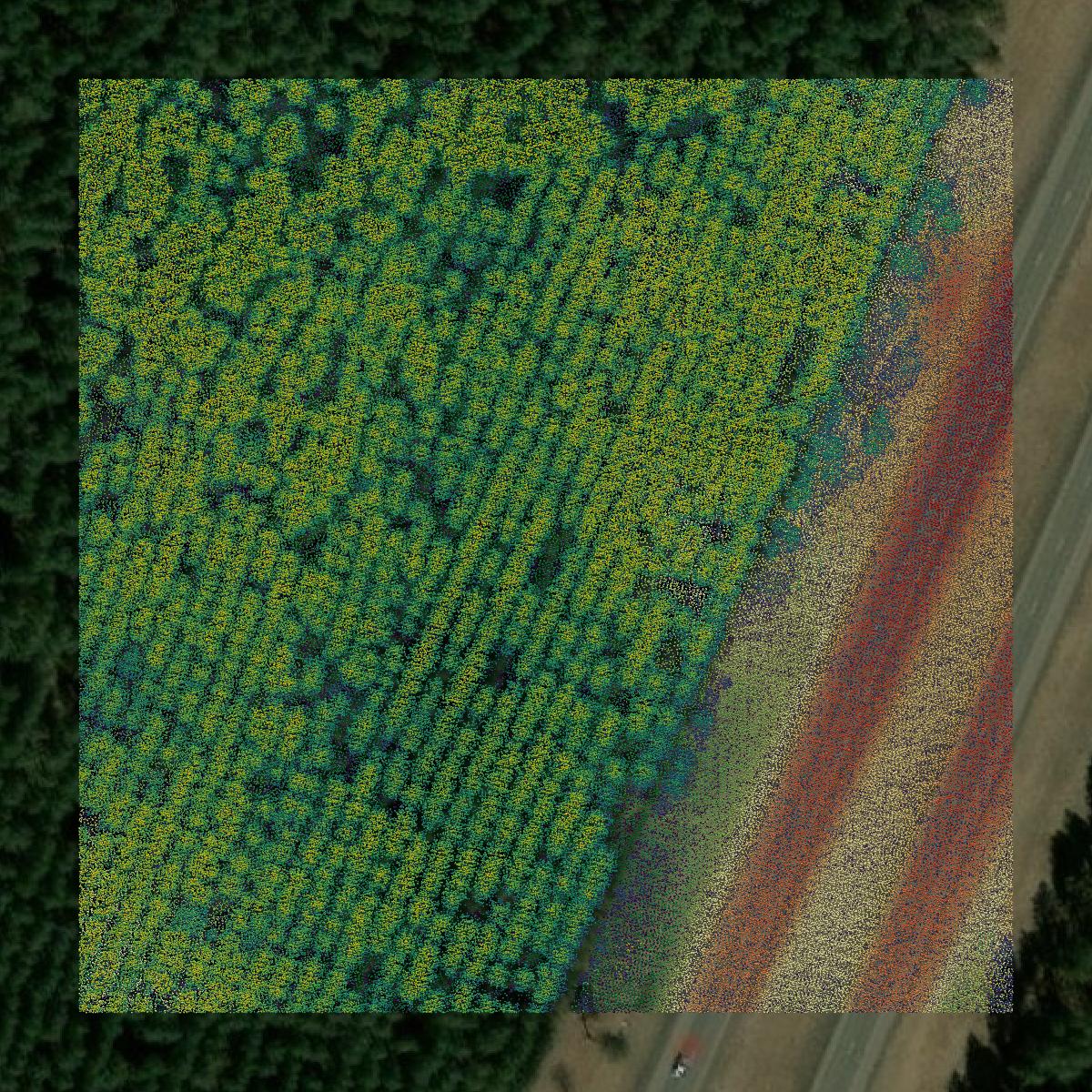 This image shows a LiDAR point cloud in Pine County created using GIS data in Equator.