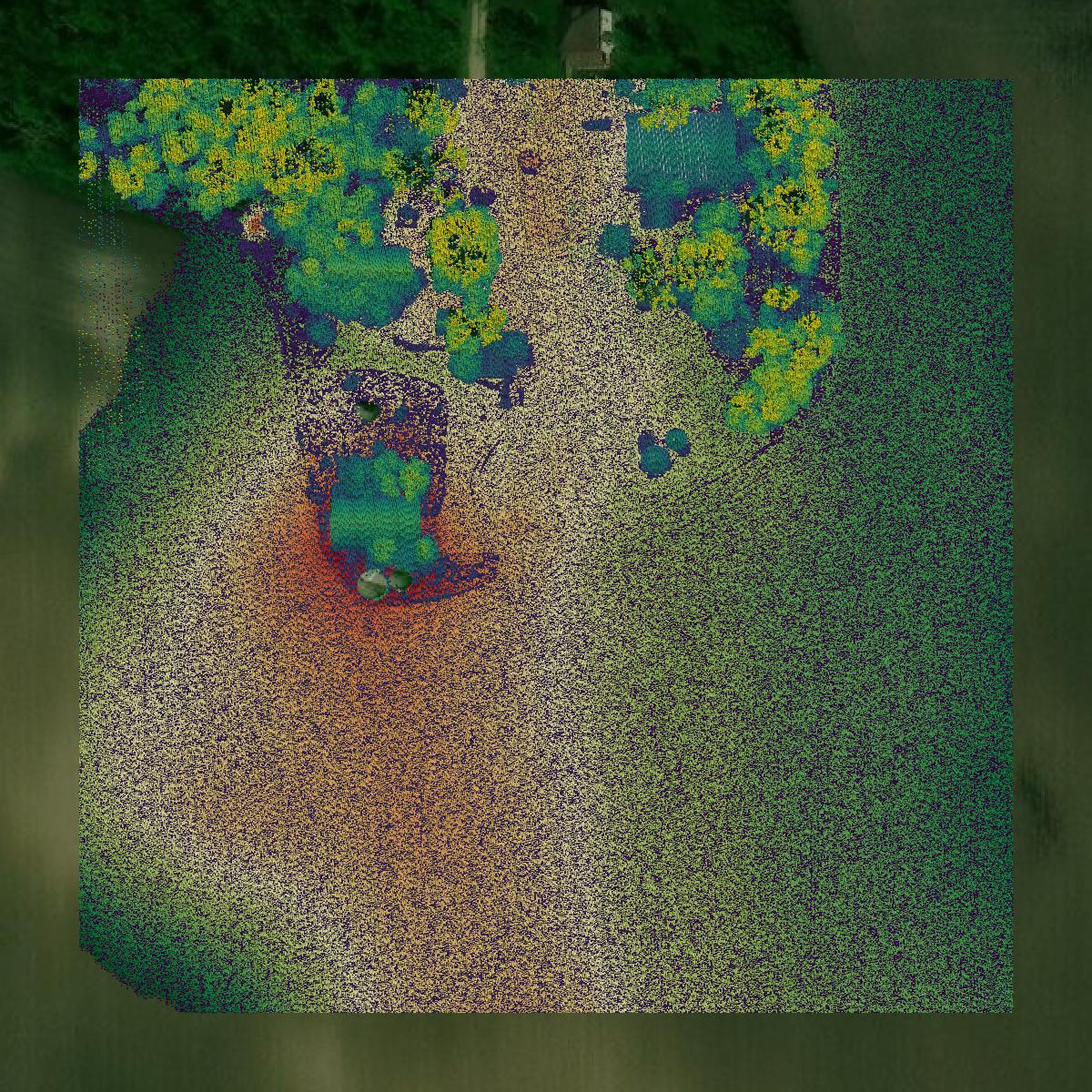 This image shows a LiDAR point cloud in Pope County created using GIS data in Equator.
