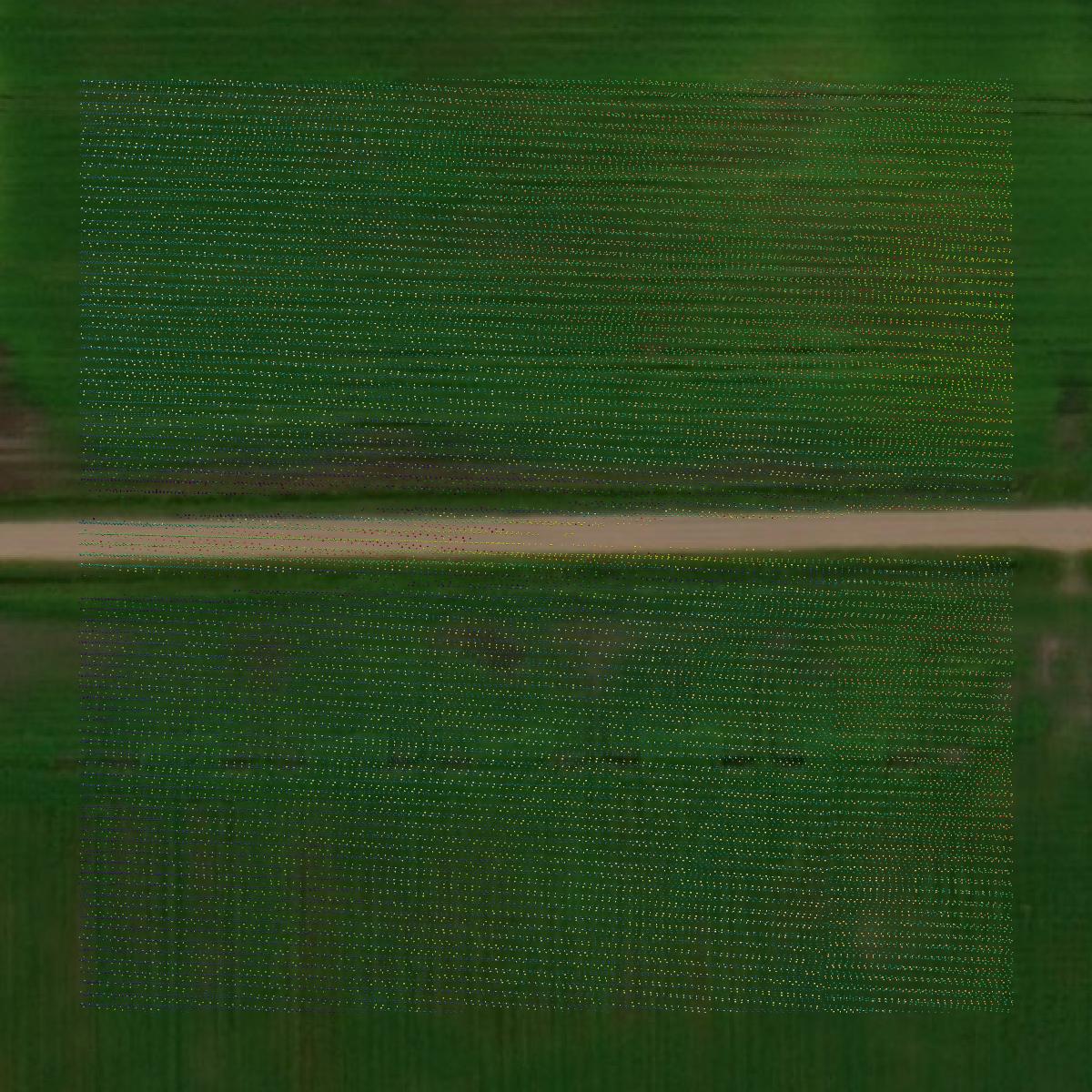 This image shows a LiDAR point cloud in Red Lake County created using GIS data in Equator.