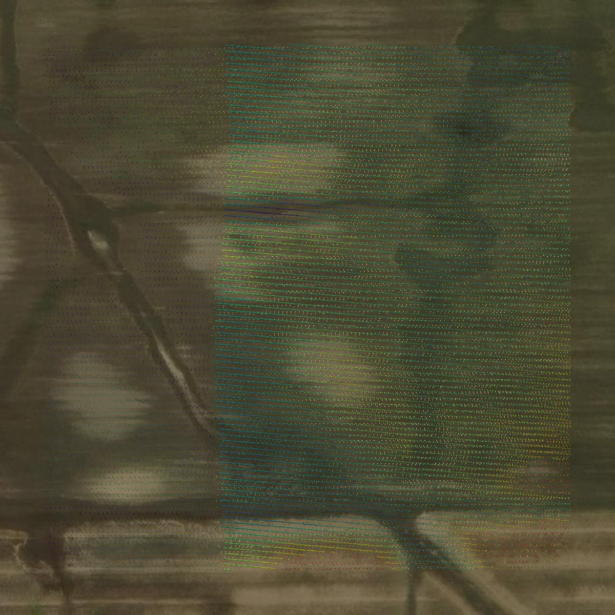 This image shows a LiDAR point cloud in Red Lake County created using GIS data in Equator.