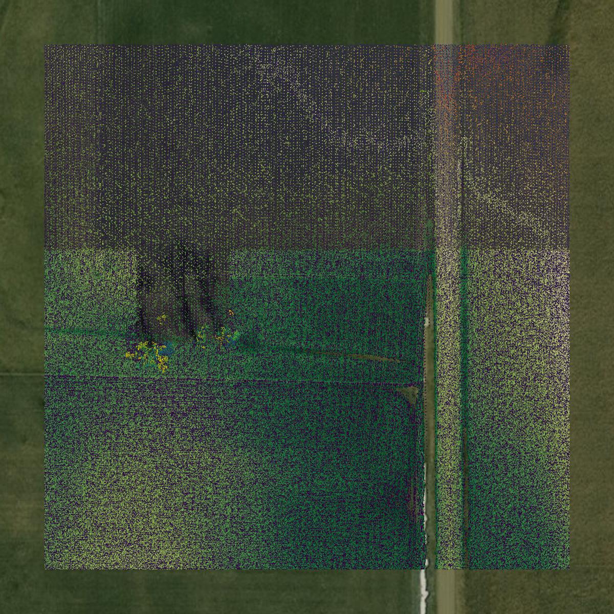 This image shows a LiDAR point cloud in Redwood County created using GIS data in Equator.