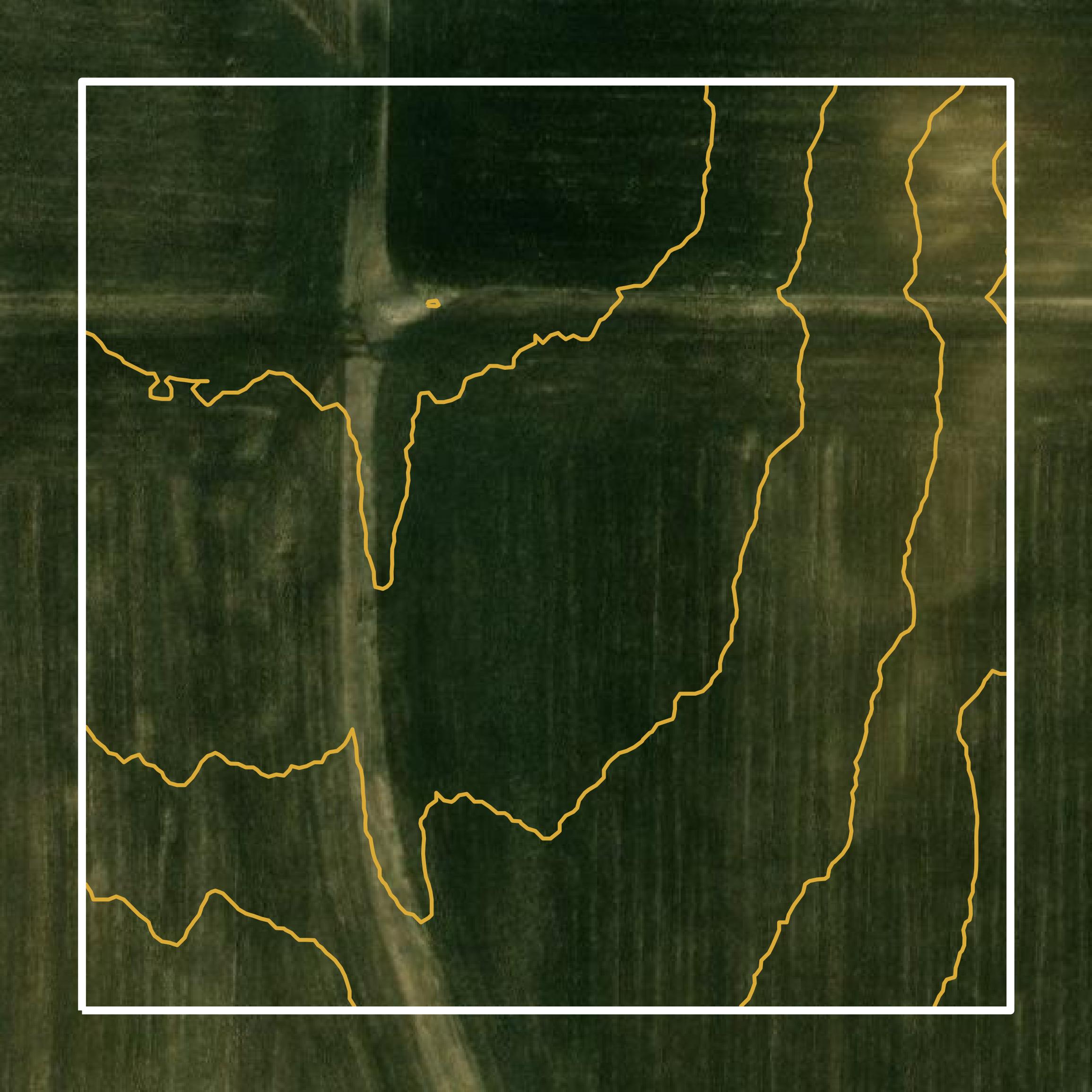 This image shows a contour map in Rice County created using GIS data in Equator.