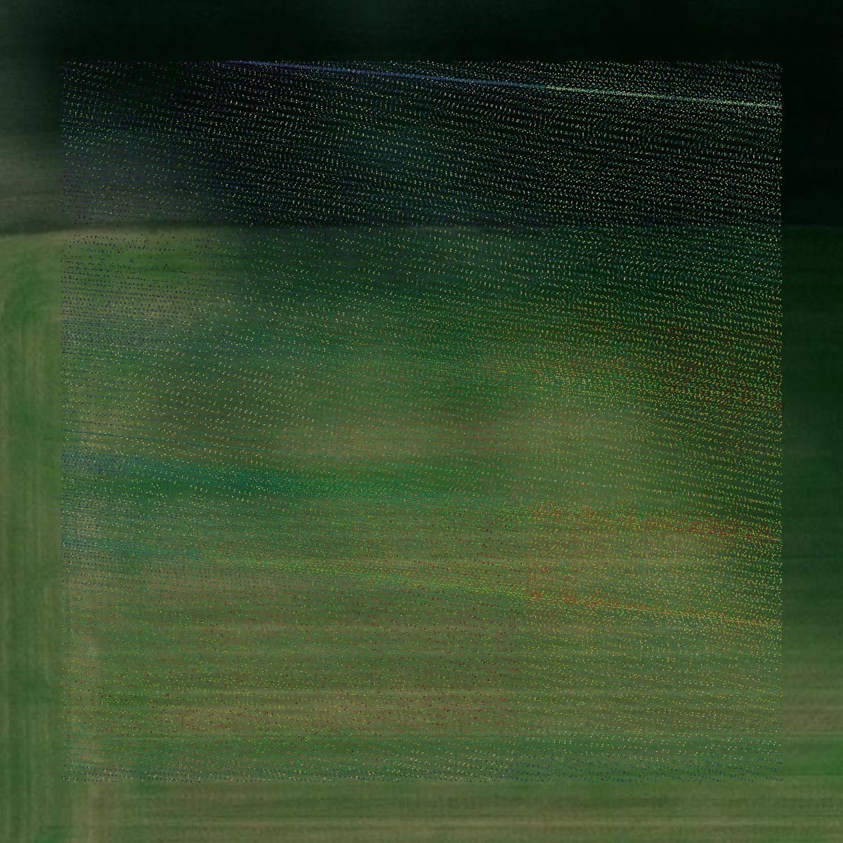 This image shows a LiDAR point cloud in Roseau County created using GIS data in Equator.