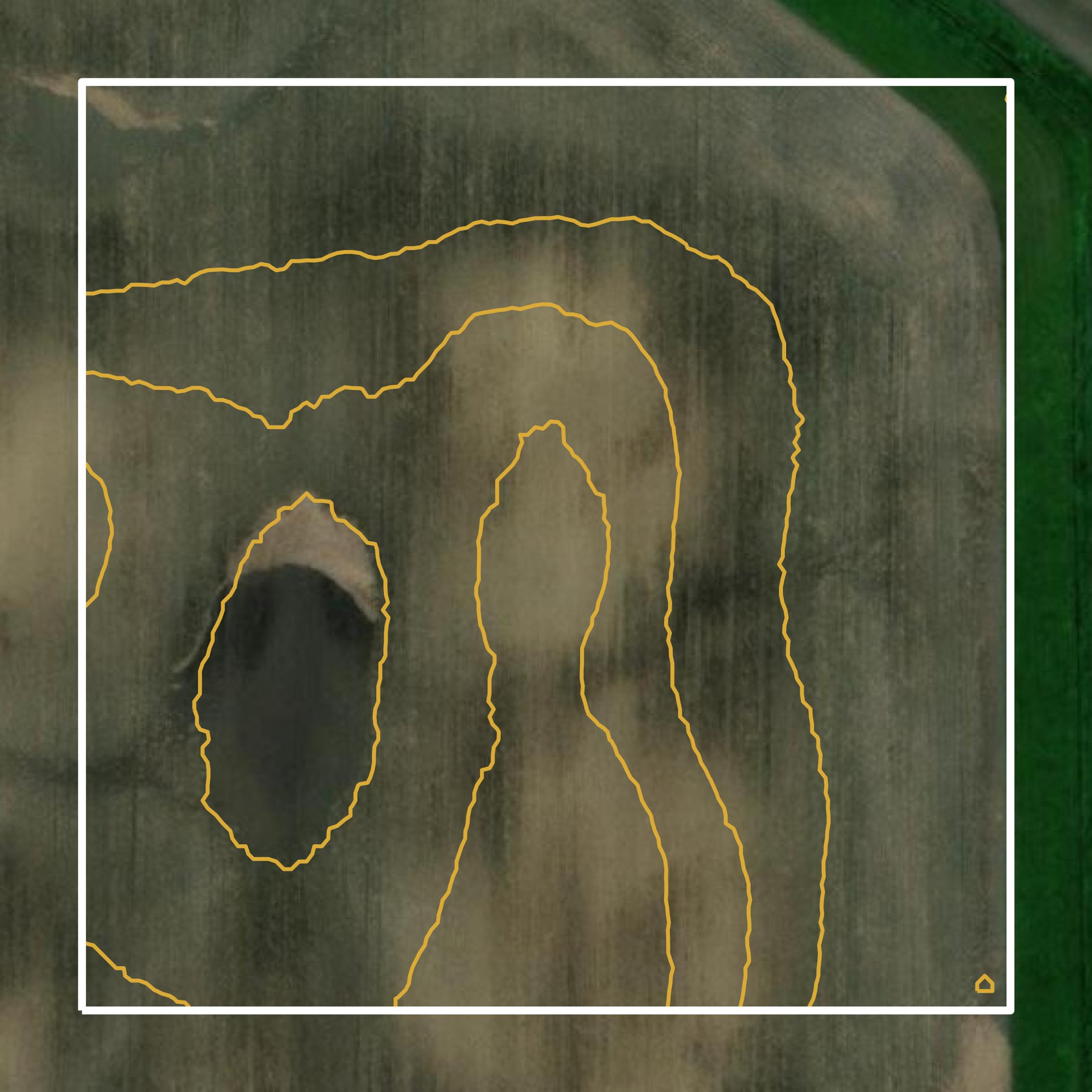 This image shows a contour map in Scott County created using GIS data in Equator.