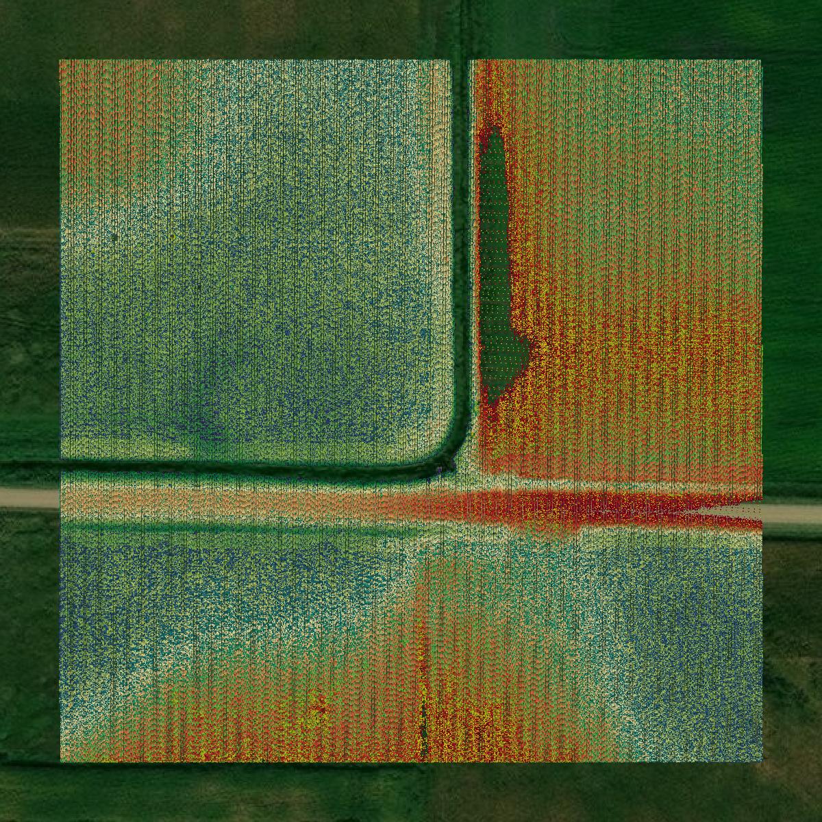 This image shows a LiDAR point cloud in Stevens County created using GIS data in Equator.