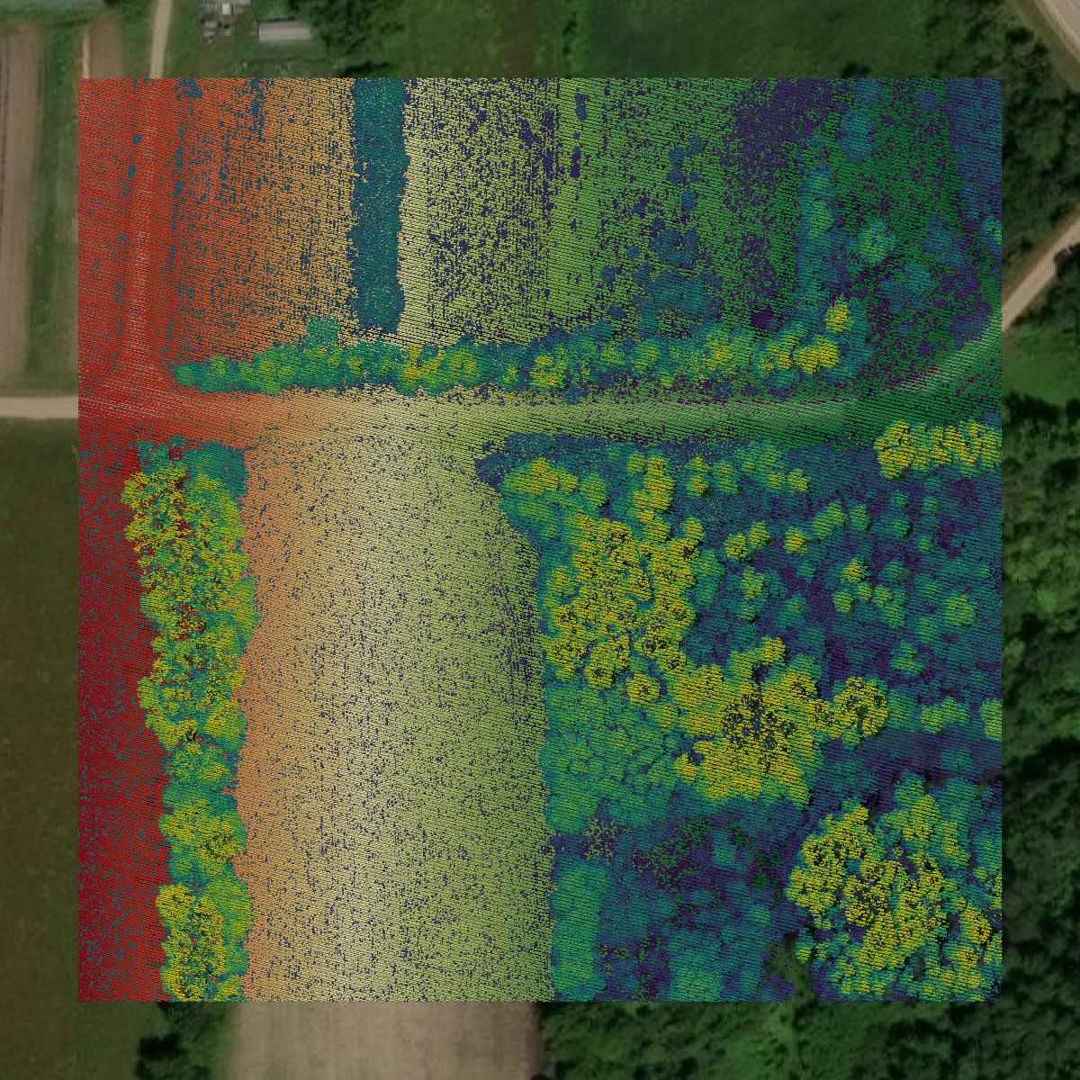 This image shows a LiDAR point cloud in Todd County created using GIS data in Equator.