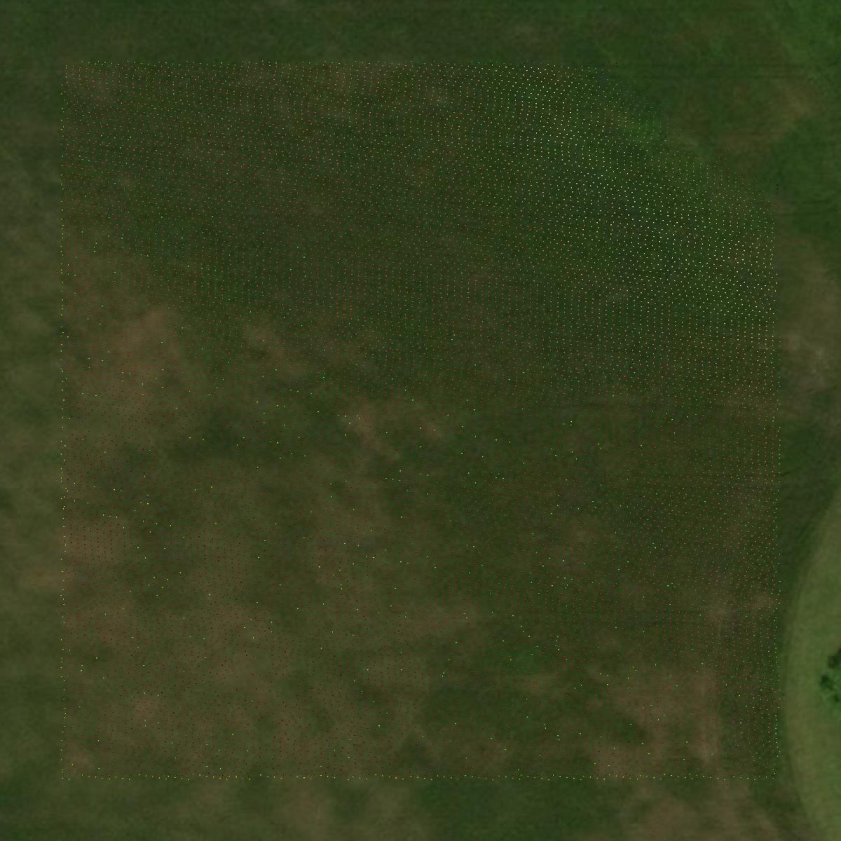 This image shows a LiDAR point cloud in Traverse County created using GIS data in Equator.