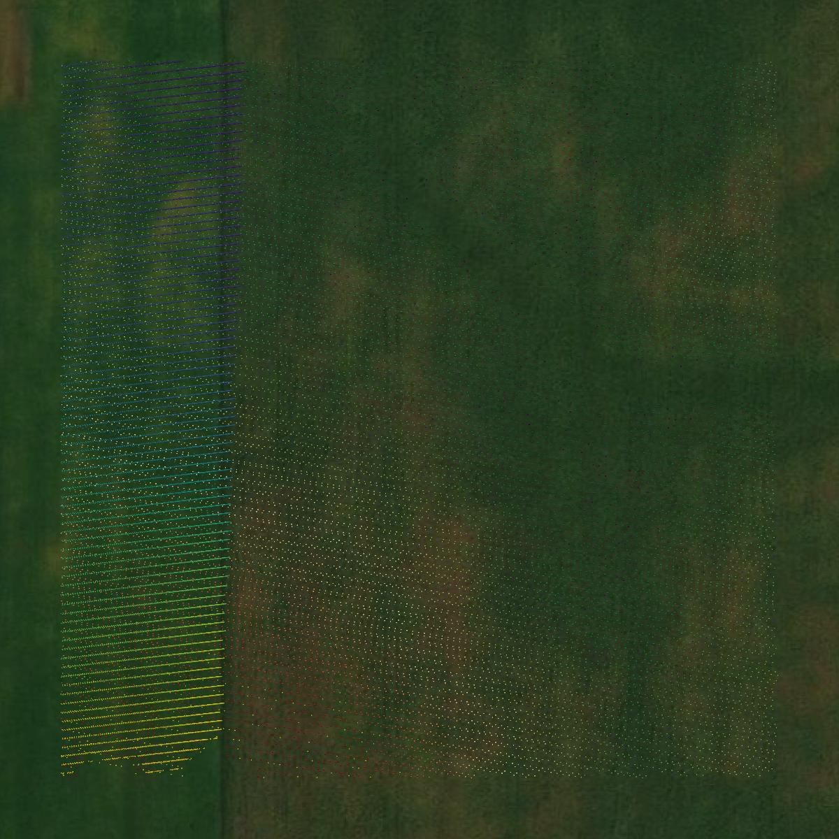 This image shows a LiDAR point cloud in Traverse County created using GIS data in Equator.