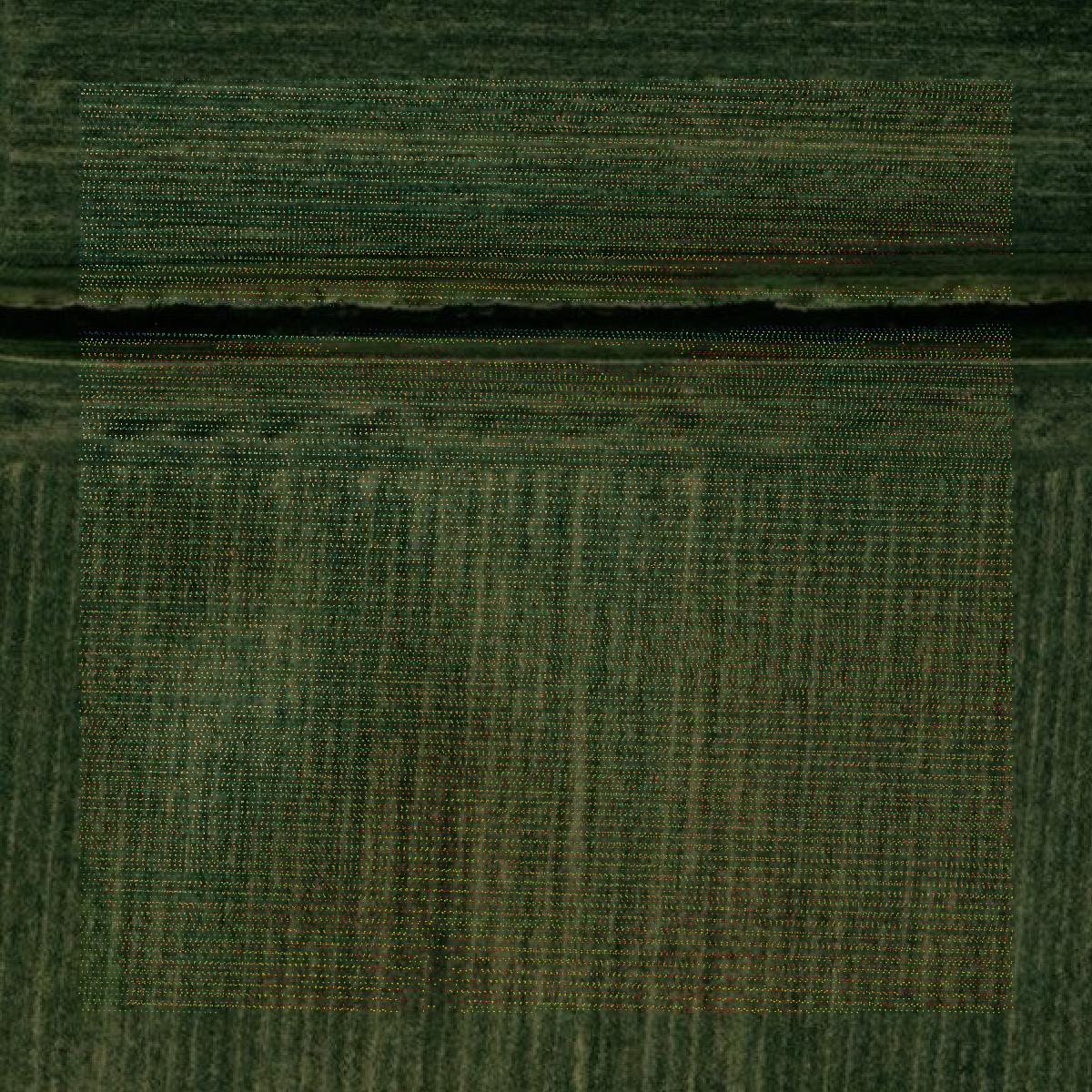 This image shows a LiDAR point cloud in Waseca County created using GIS data in Equator.