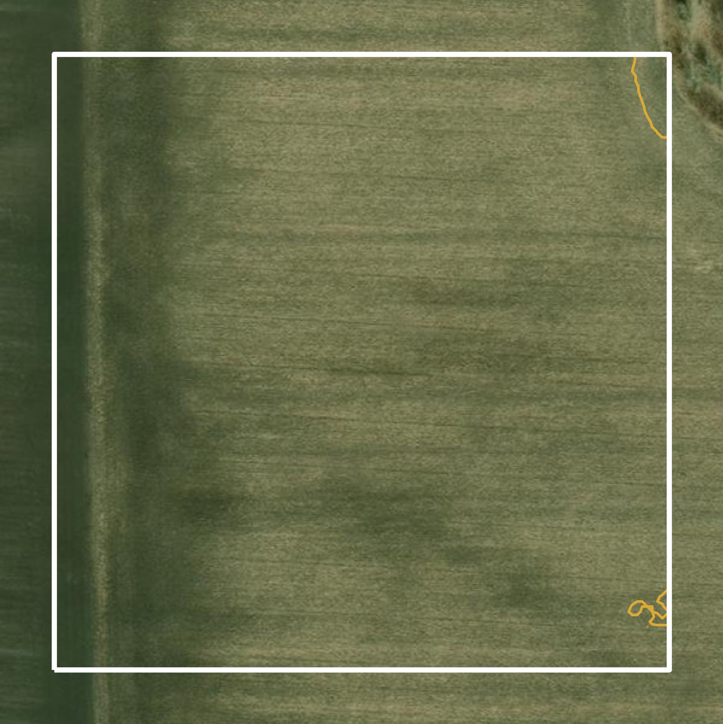 This image shows a contour map in Wilkin County created using GIS data in Equator.