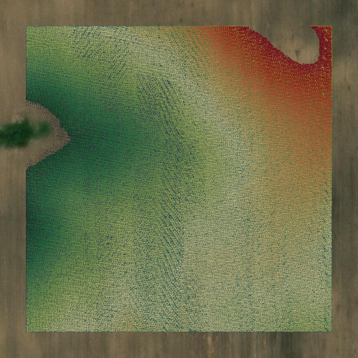 This image shows a LiDAR point cloud in Winona County created using GIS data in Equator.