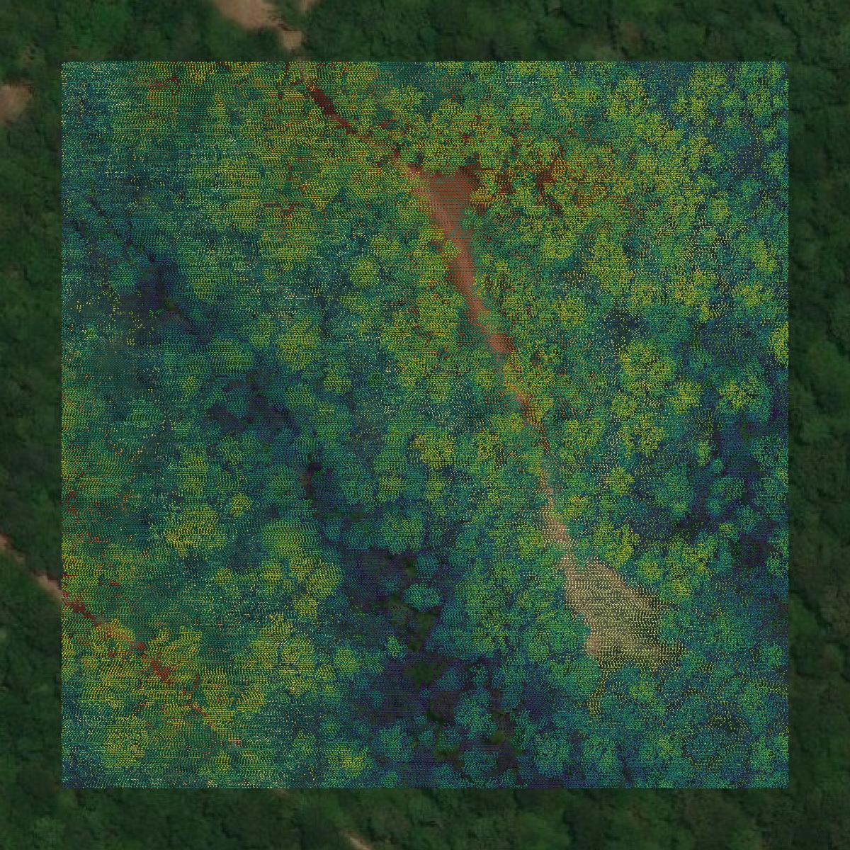 This image shows a LiDAR point cloud in Adams County created using GIS data in Equator.