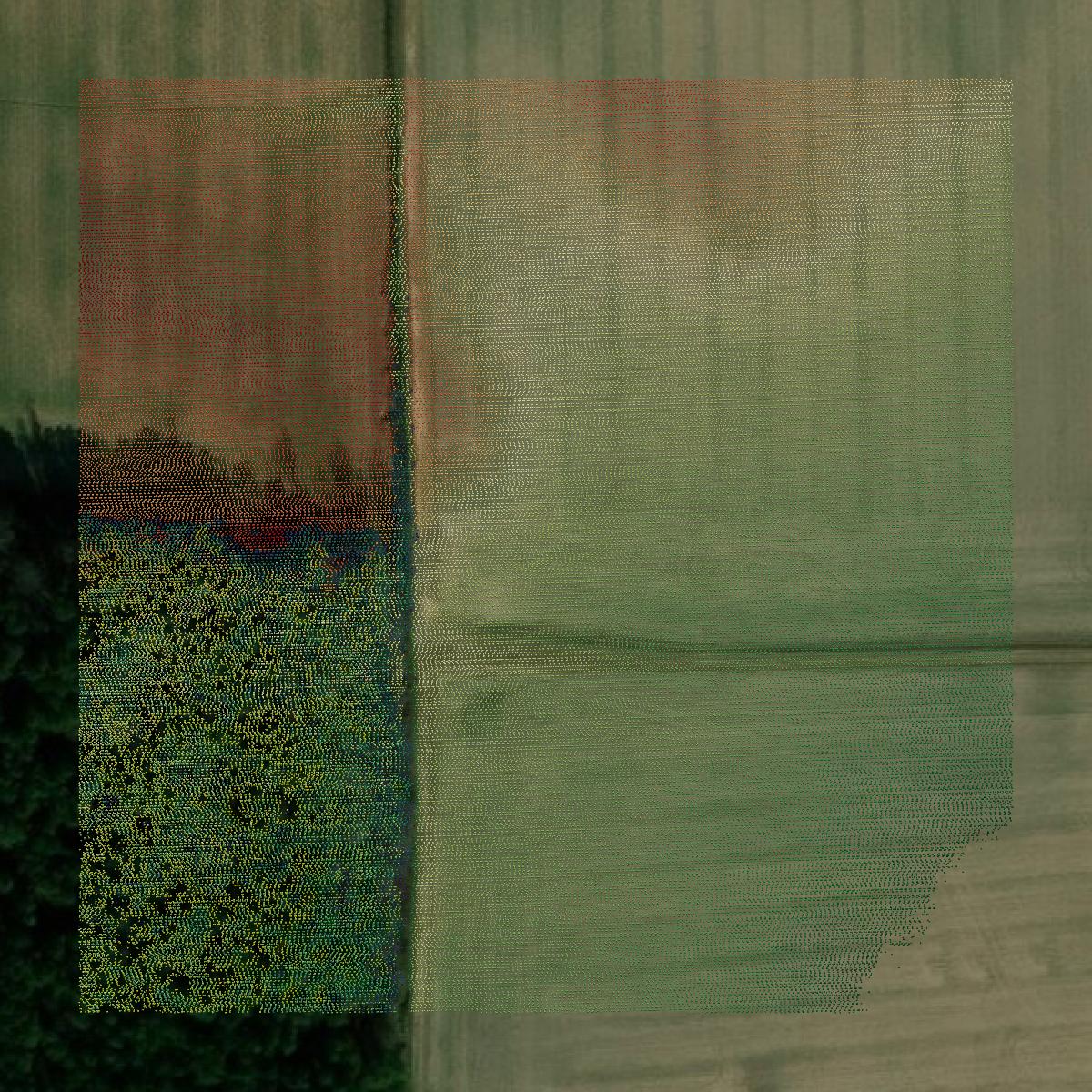 This image shows a LiDAR point cloud in Alcorn County created using GIS data in Equator.