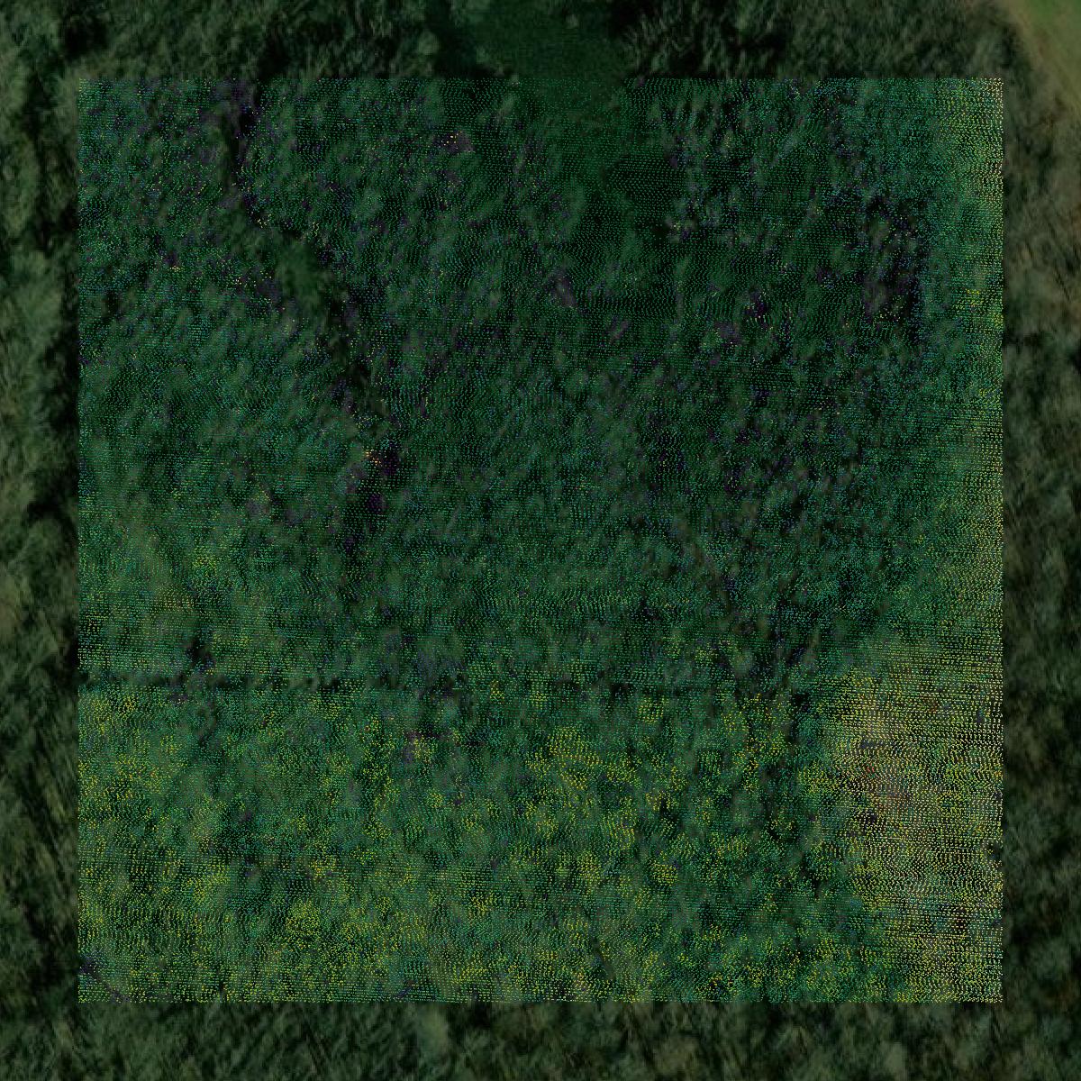 This image shows a LiDAR point cloud in Alcorn County created using GIS data in Equator.