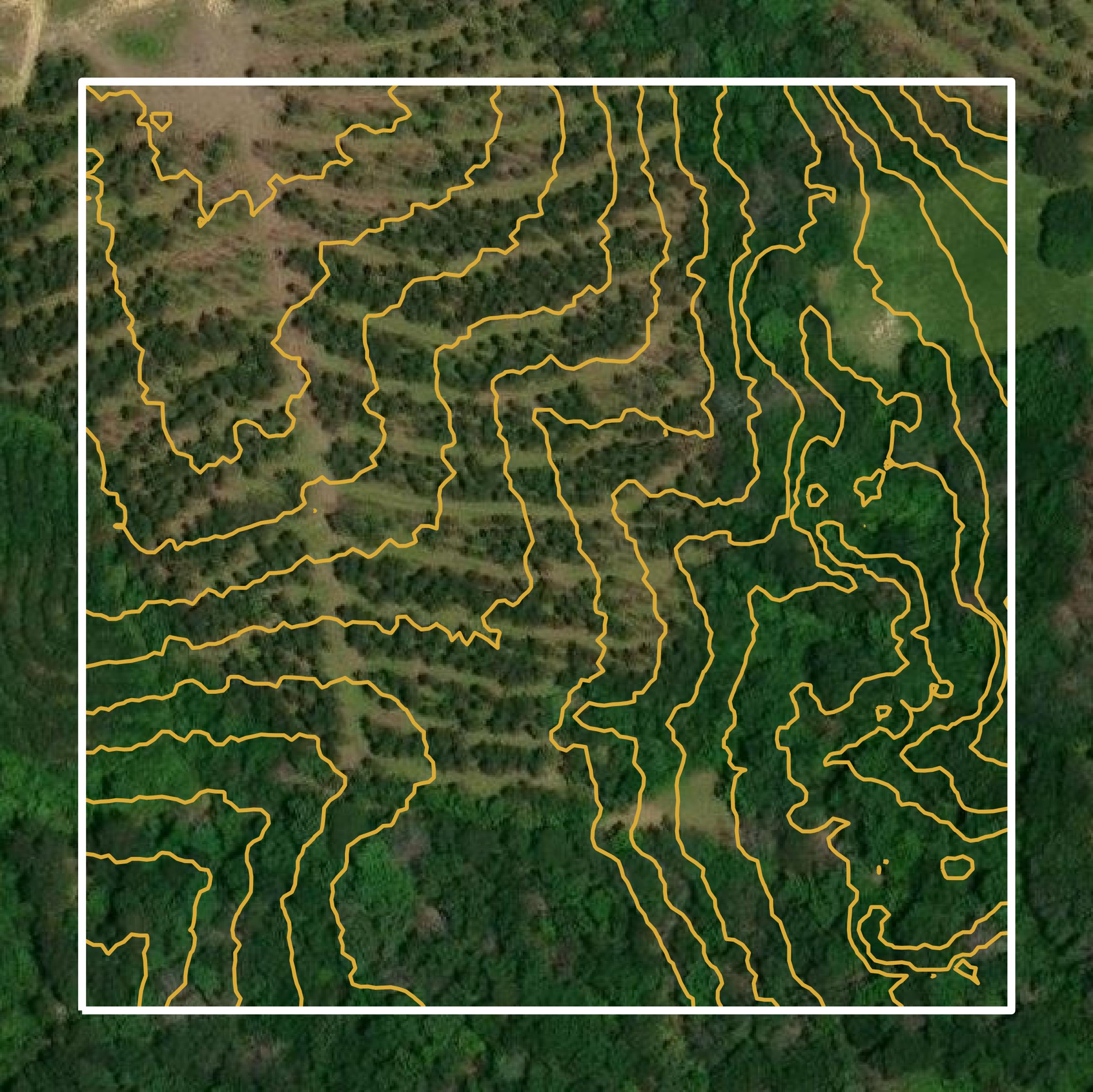 This image shows a contour map in Amite County created using GIS data in Equator.