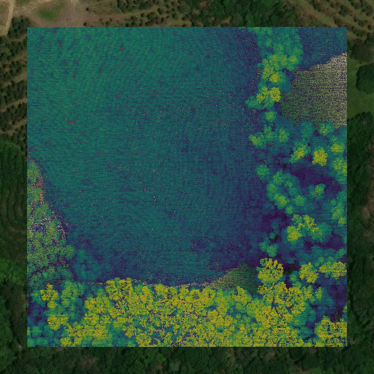This image shows a LiDAR point cloud in Amite County created using GIS data in Equator.