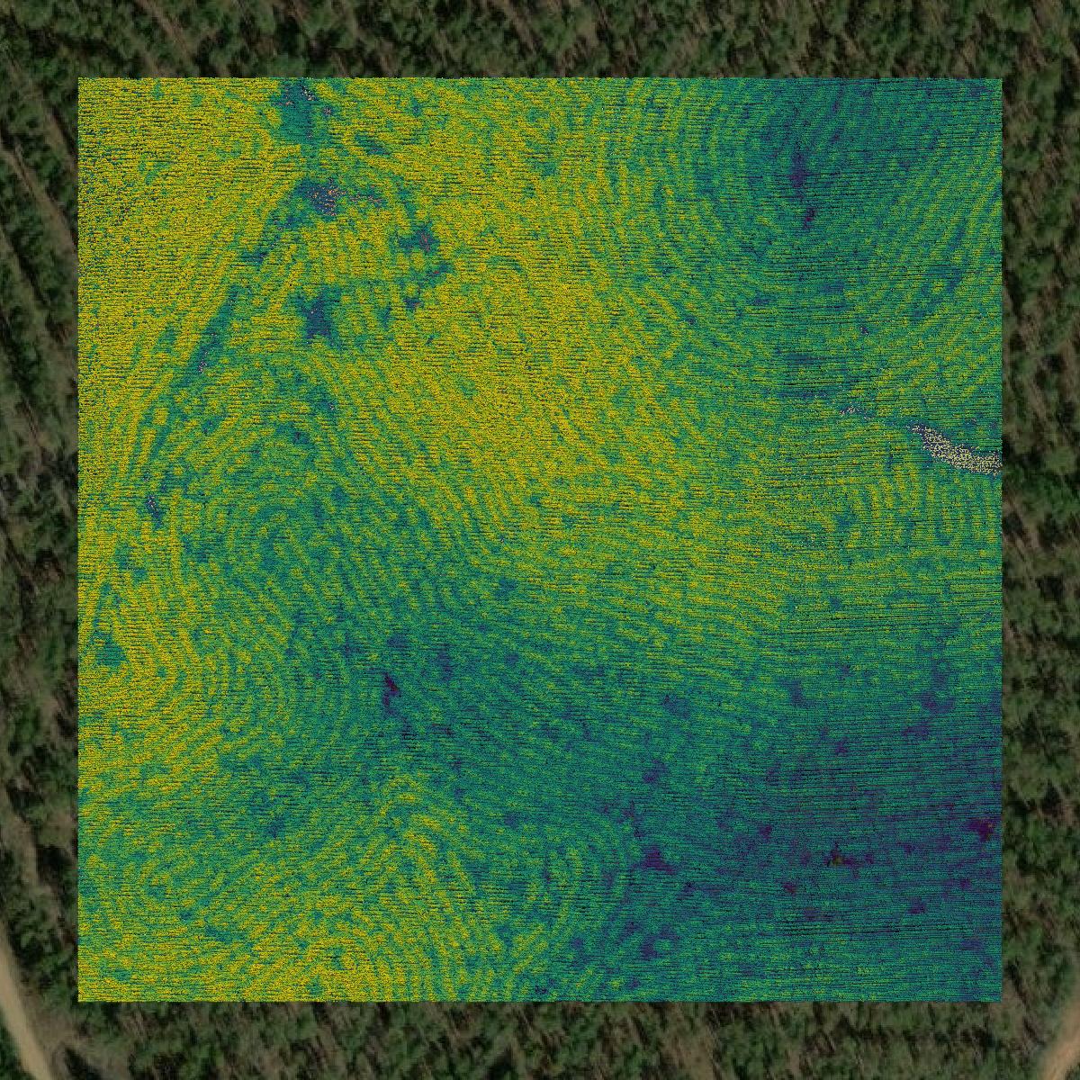 This image shows a LiDAR point cloud in Amite County created using GIS data in Equator.