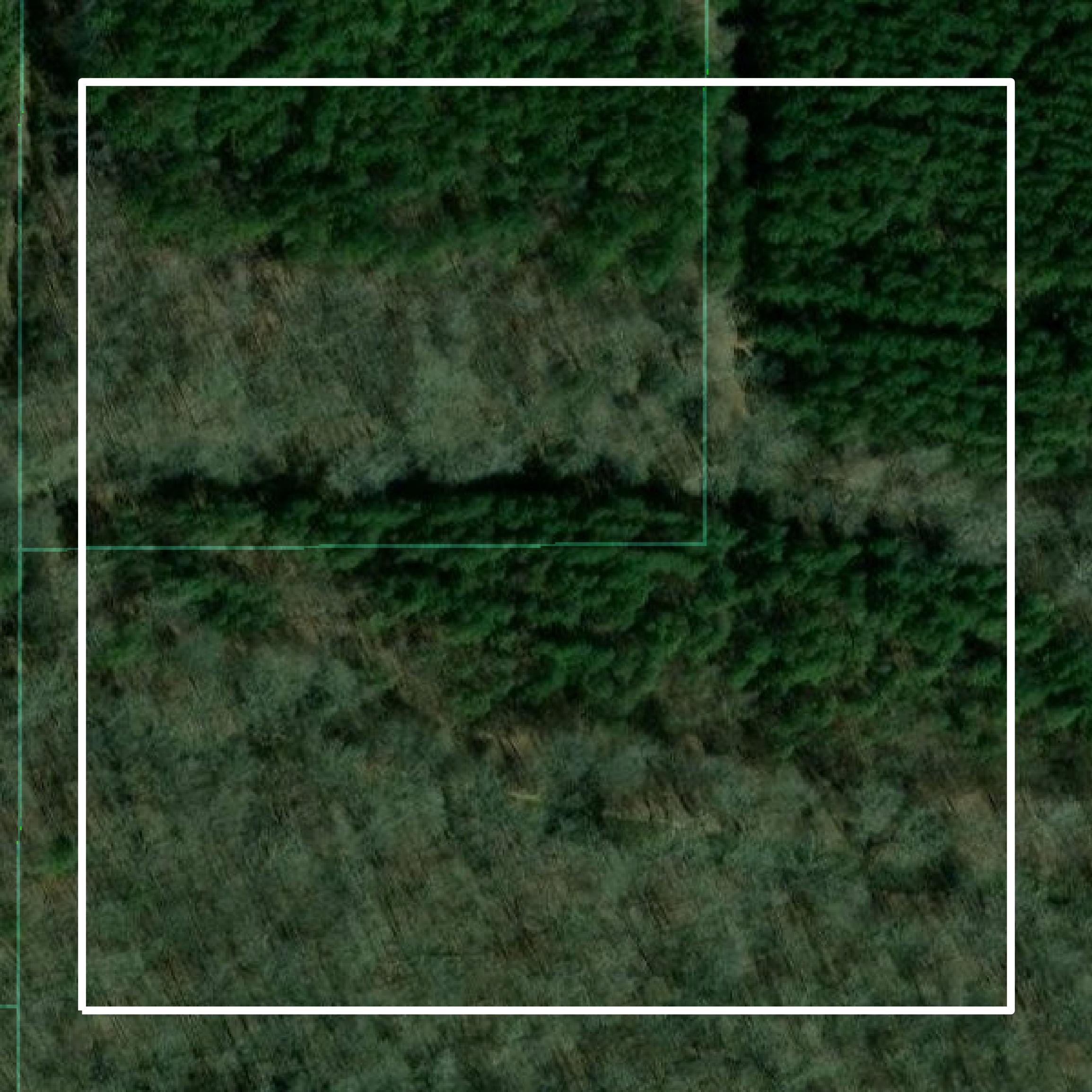 This image shows parcel and building data in Attala County created using GIS data in Equator.