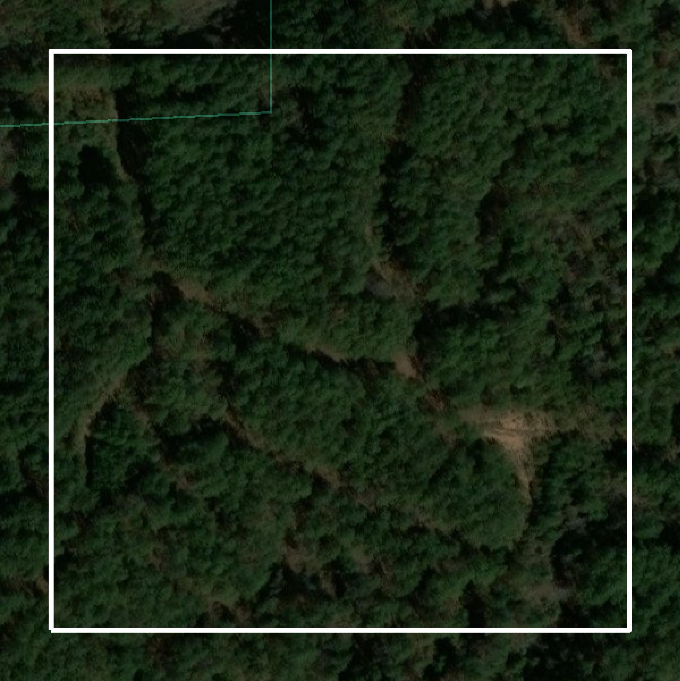 This image shows parcel and building data in Attala County created using GIS data in Equator.