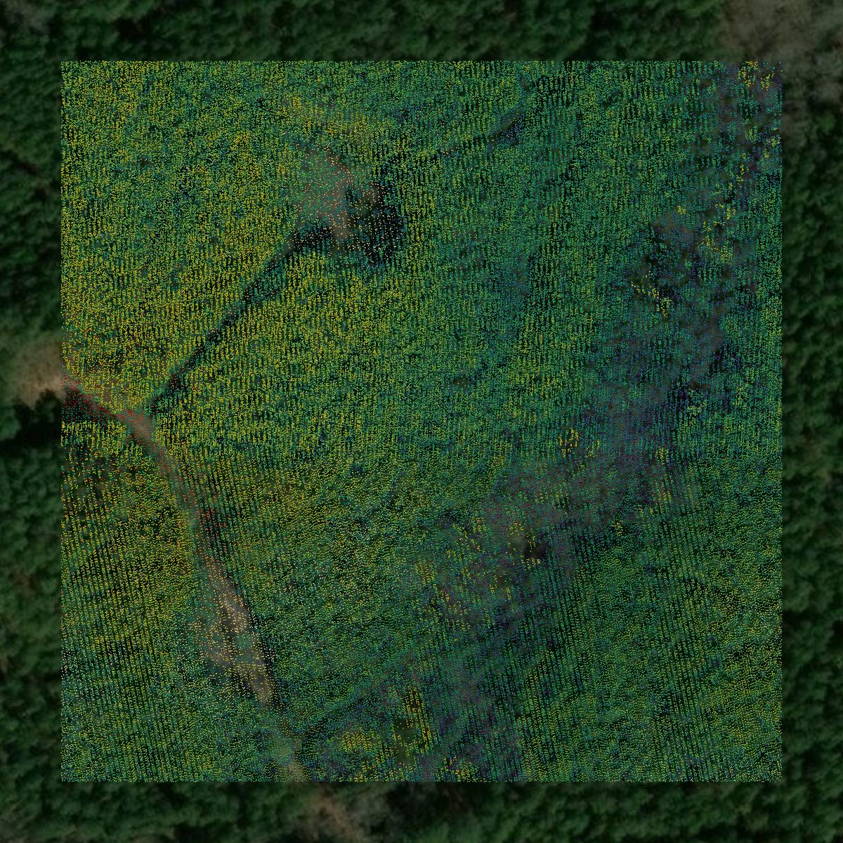 This image shows a LiDAR point cloud in Attala County created using GIS data in Equator.