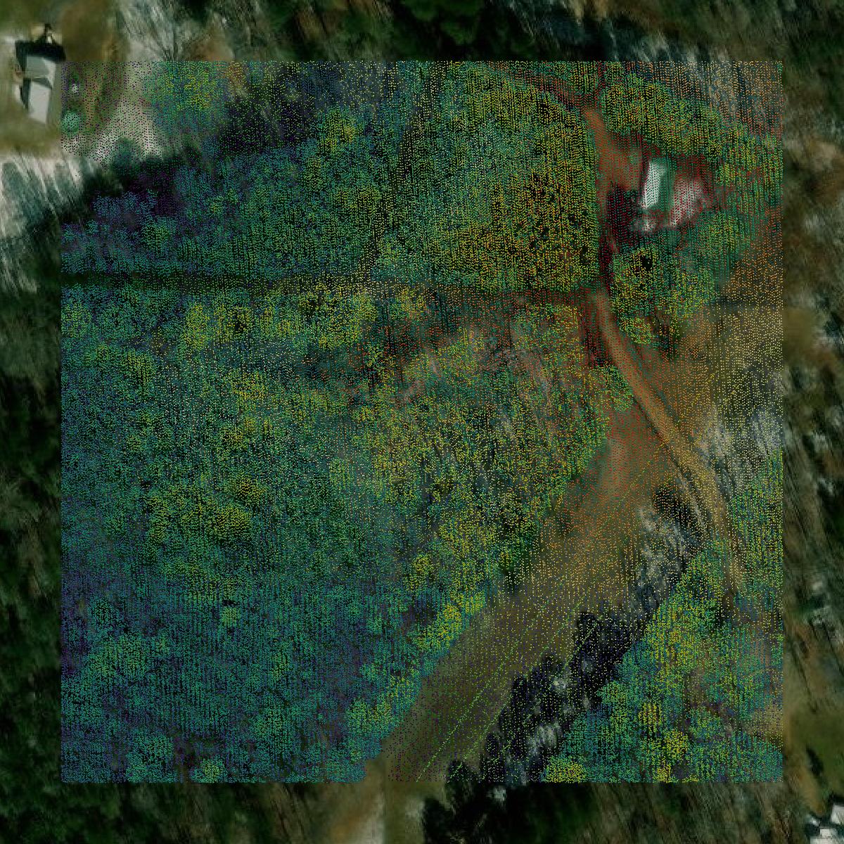 This image shows a LiDAR point cloud in Attala County created using GIS data in Equator.