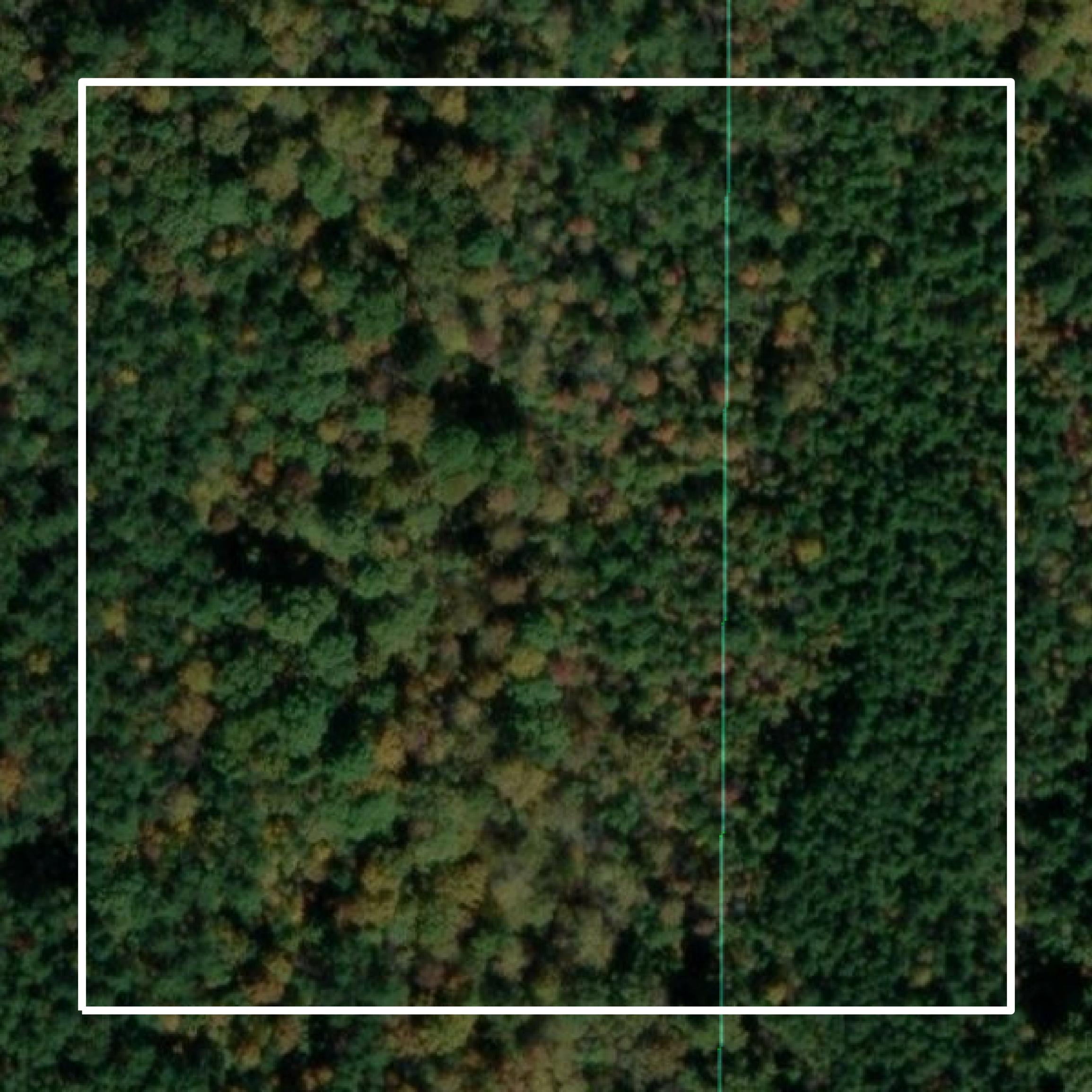 This image shows parcel and building data in Benton County created using GIS data in Equator.