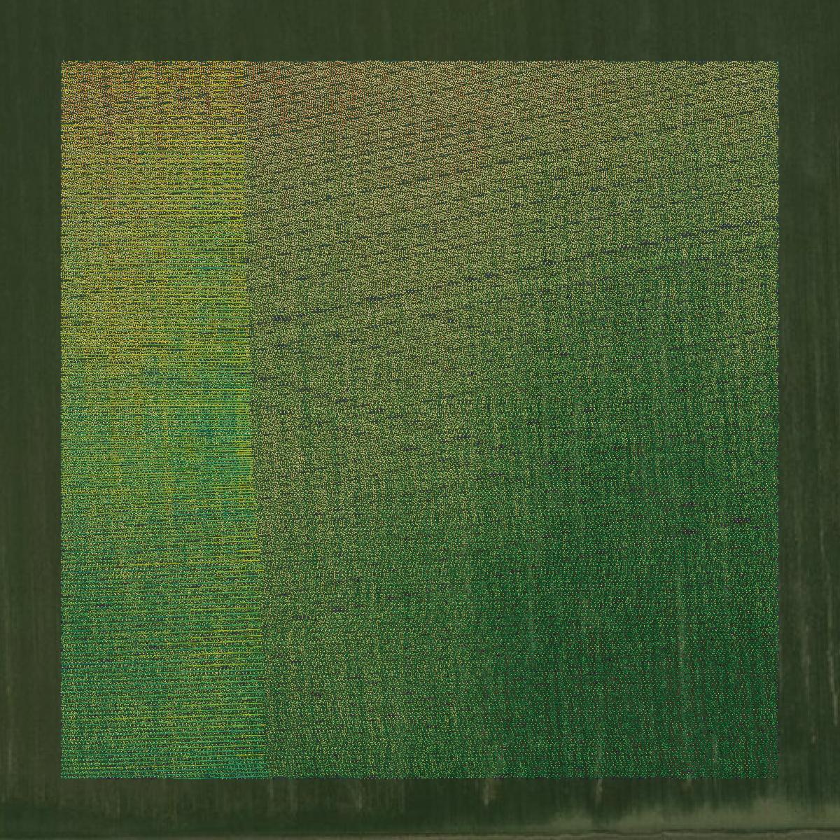This image shows a LiDAR point cloud in Bolivar County created using GIS data in Equator.