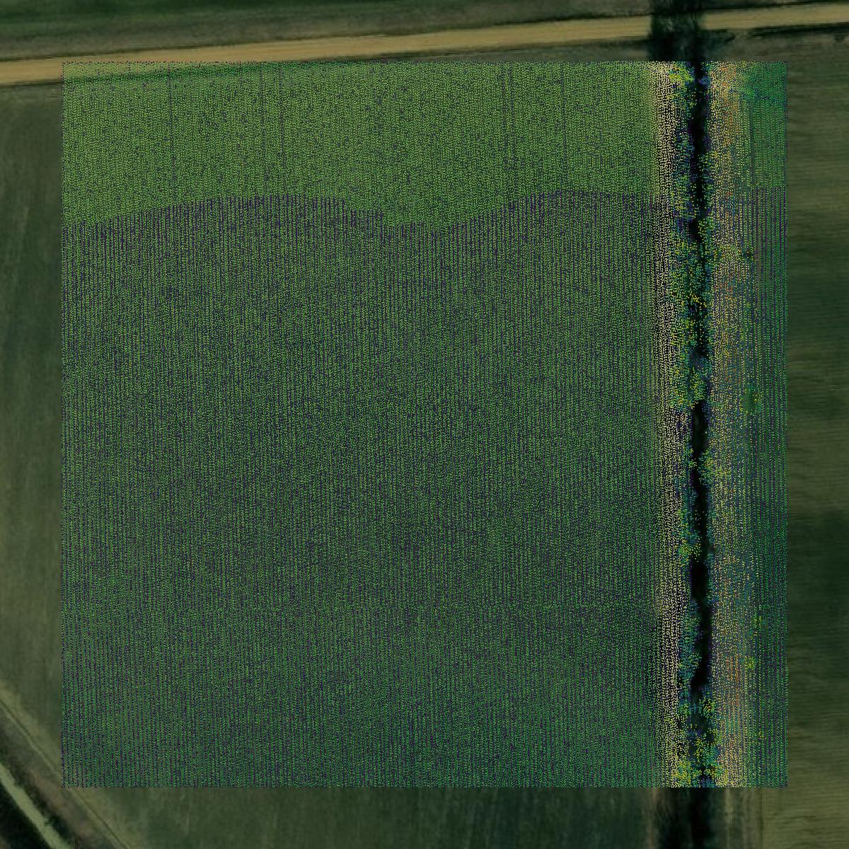 This image shows a LiDAR point cloud in Bolivar County created using GIS data in Equator.