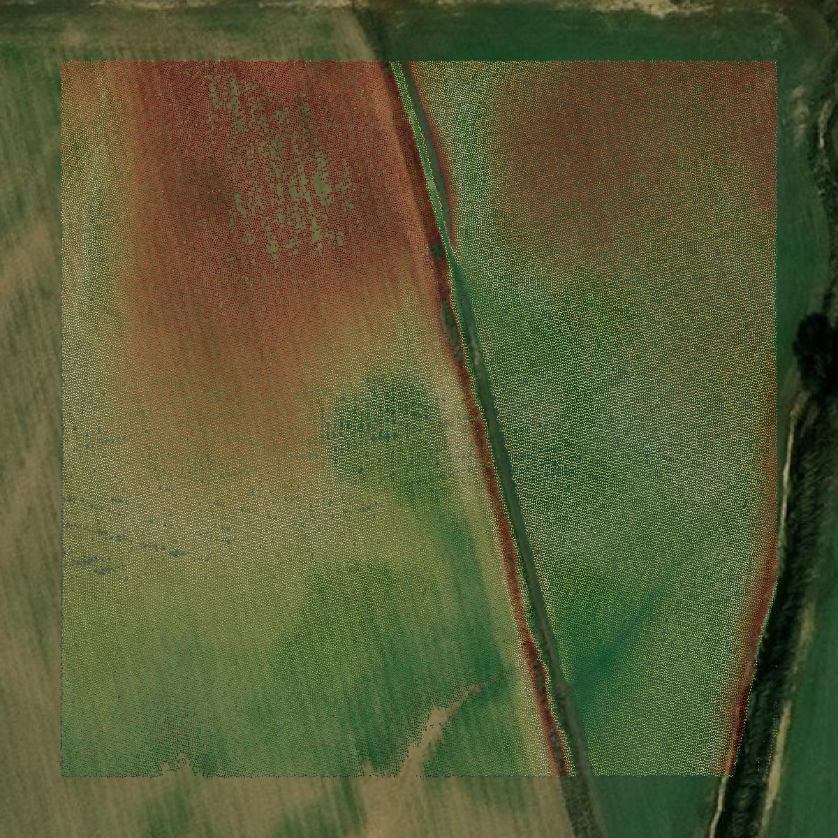 This image shows a LiDAR point cloud in Calhoun County created using GIS data in Equator.