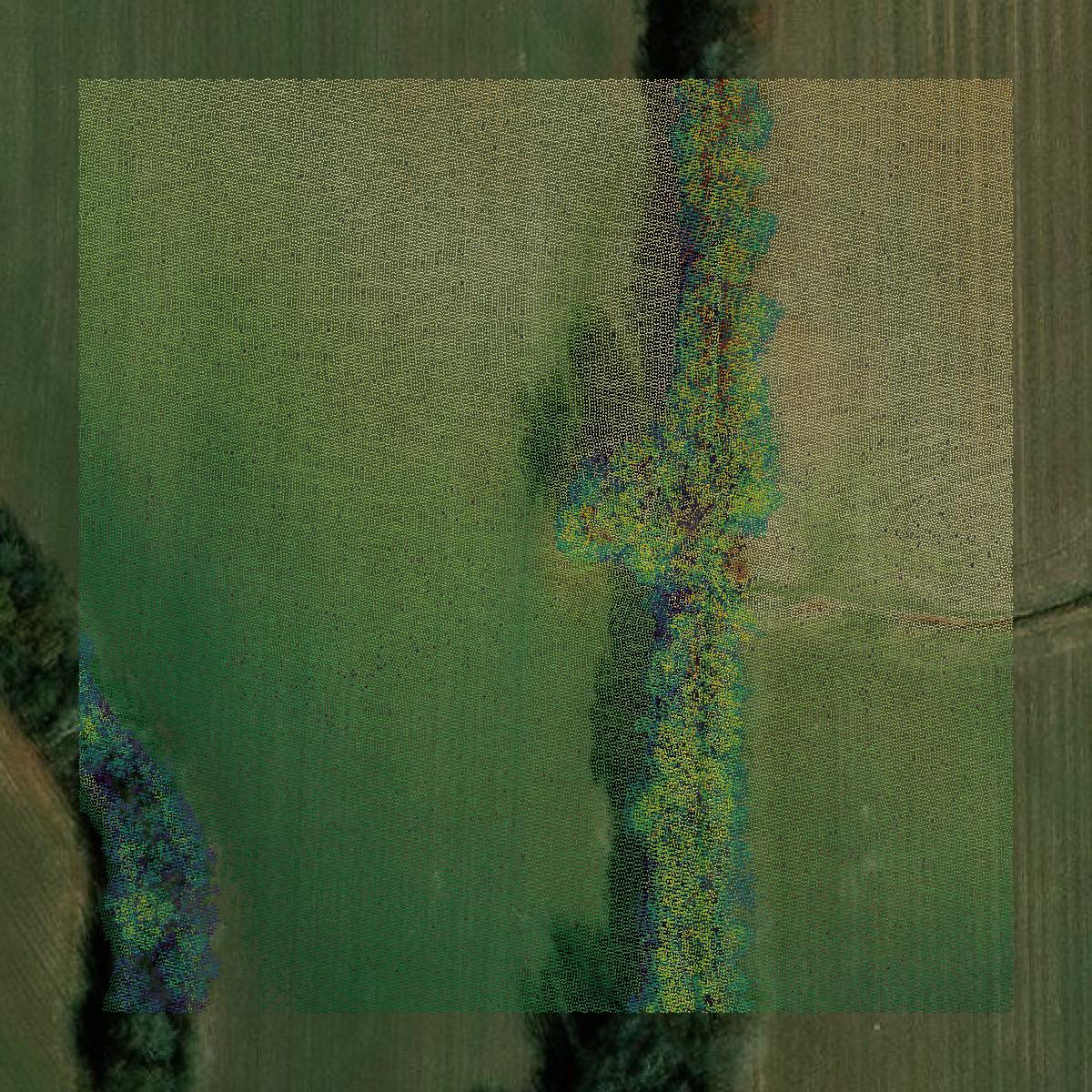 This image shows a LiDAR point cloud in Calhoun County created using GIS data in Equator.