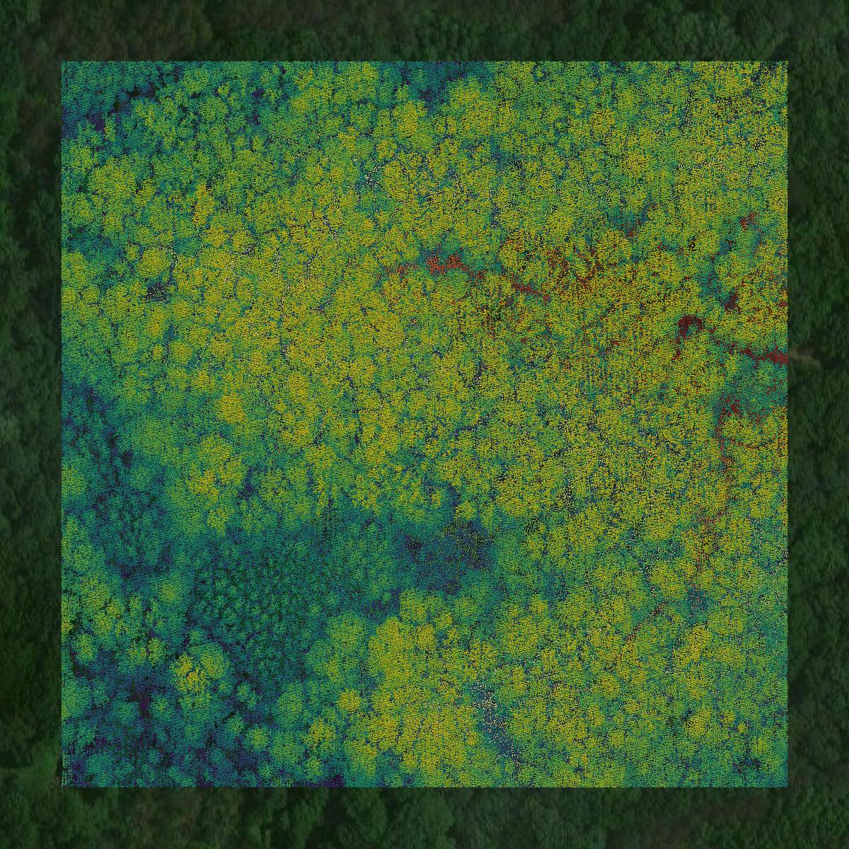 This image shows a LiDAR point cloud in Carroll County created using GIS data in Equator.