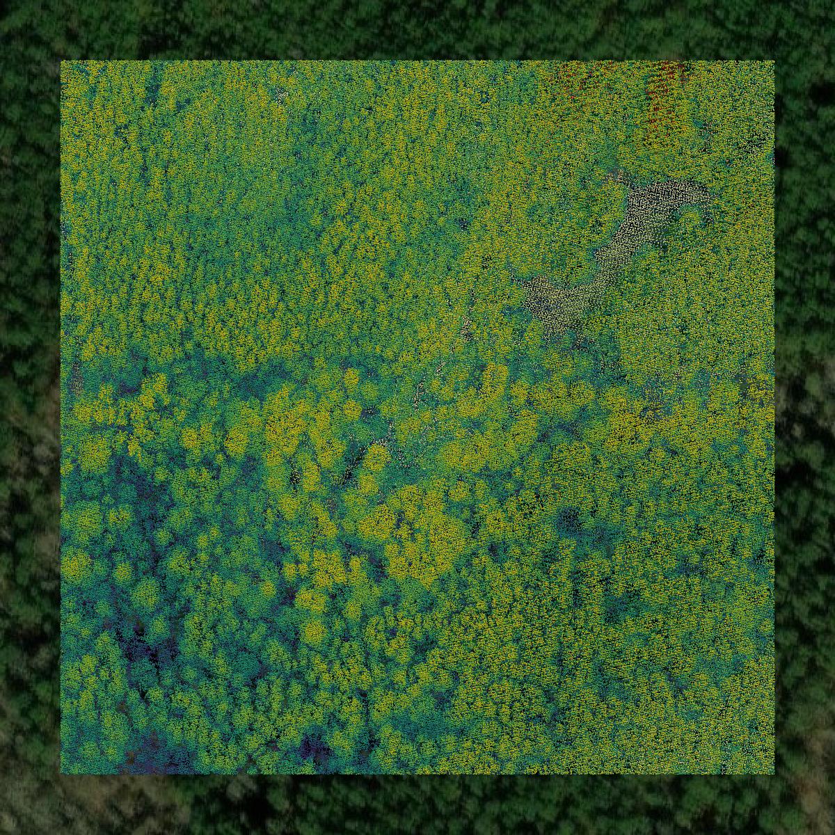 This image shows a LiDAR point cloud in Carroll County created using GIS data in Equator.