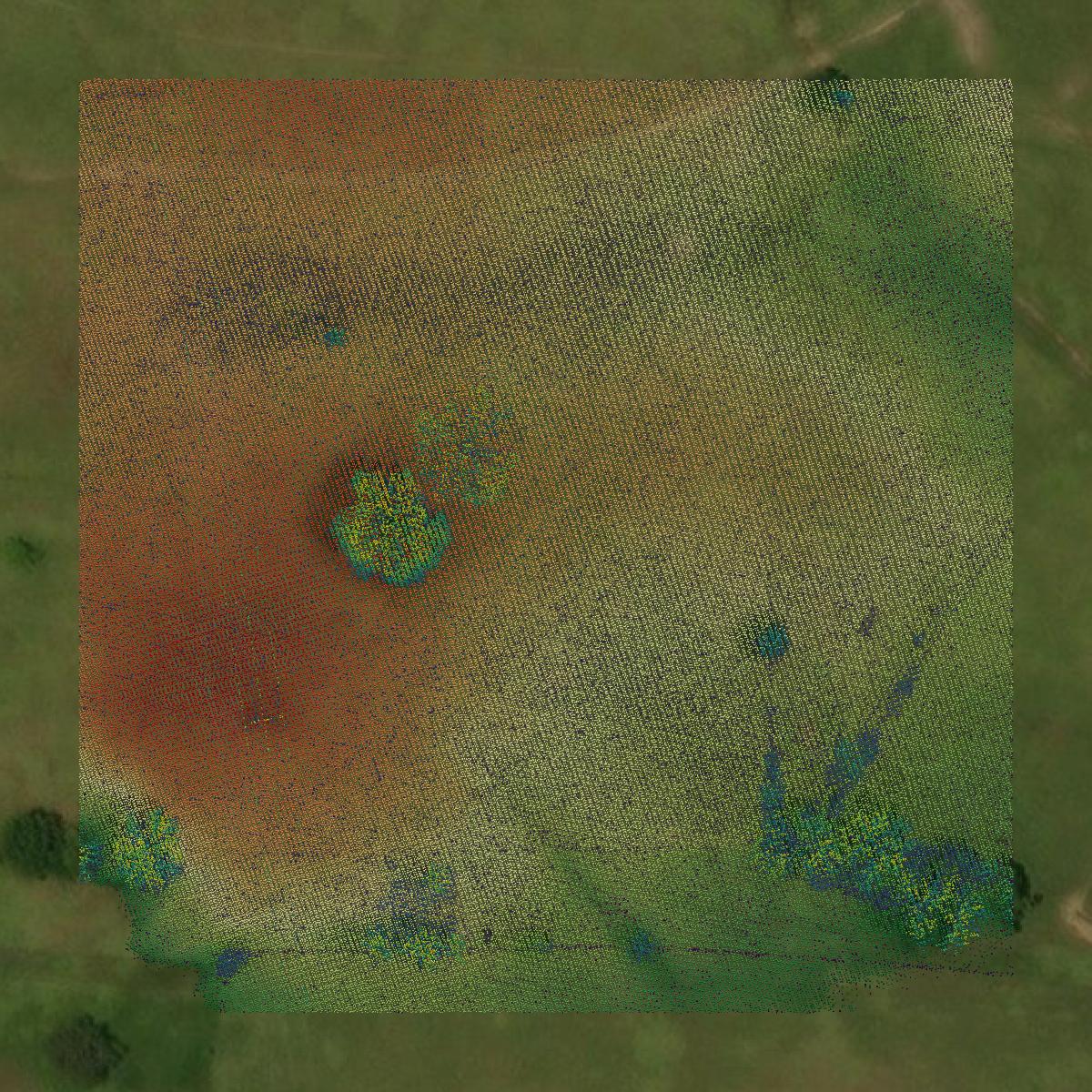 This image shows a LiDAR point cloud in Choctaw County created using GIS data in Equator.