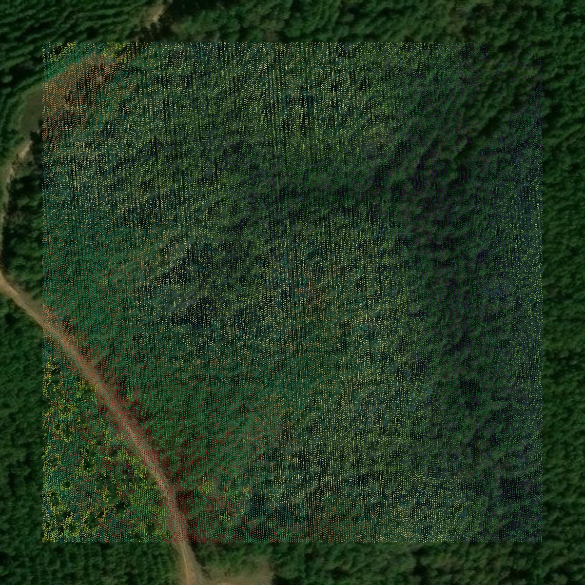 This image shows a LiDAR point cloud in Choctaw County created using GIS data in Equator.