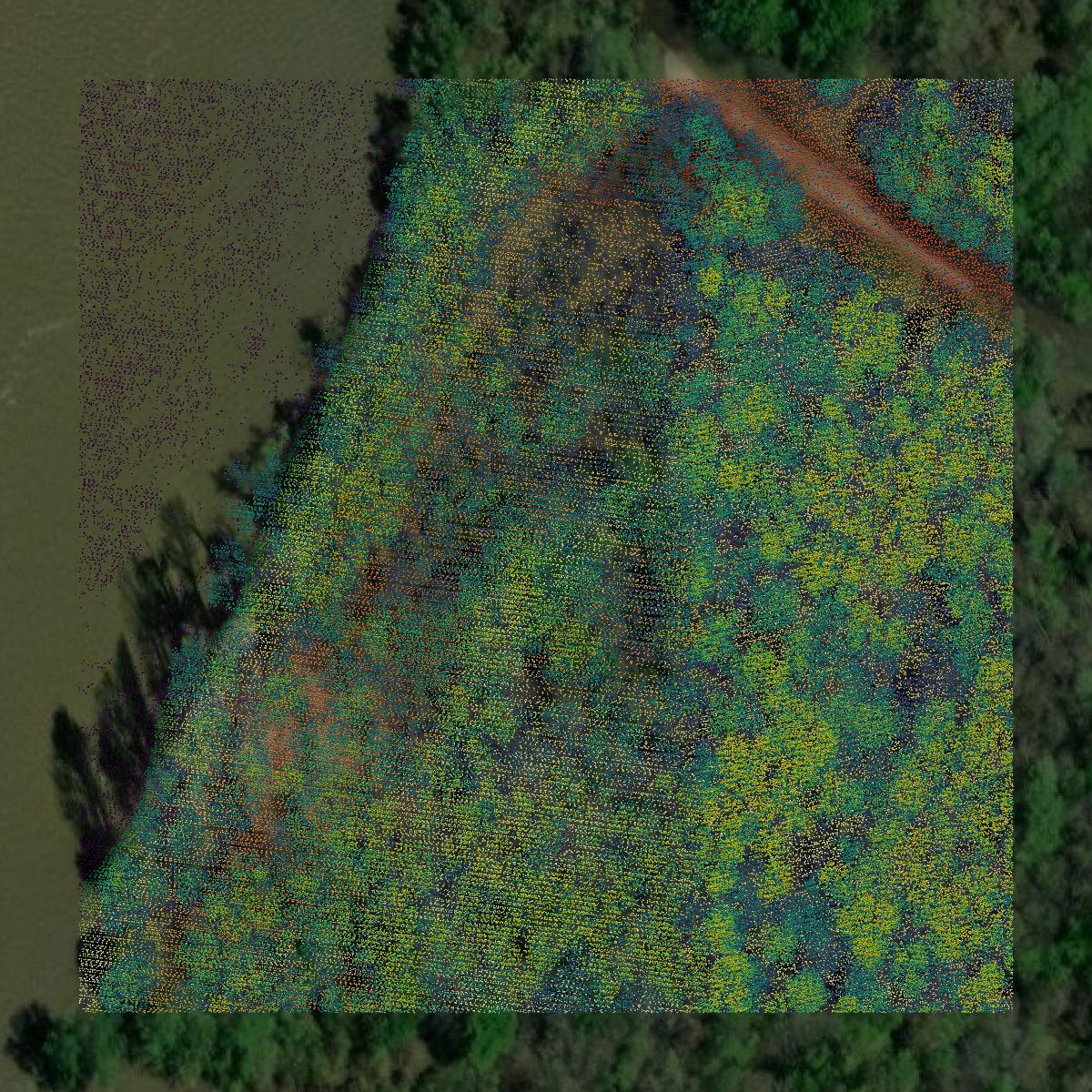 This image shows a LiDAR point cloud in Claiborne County created using GIS data in Equator.