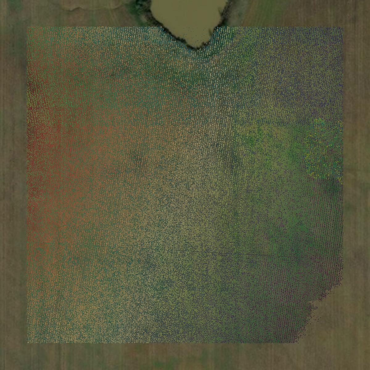 This image shows a LiDAR point cloud in Clarke County created using GIS data in Equator.