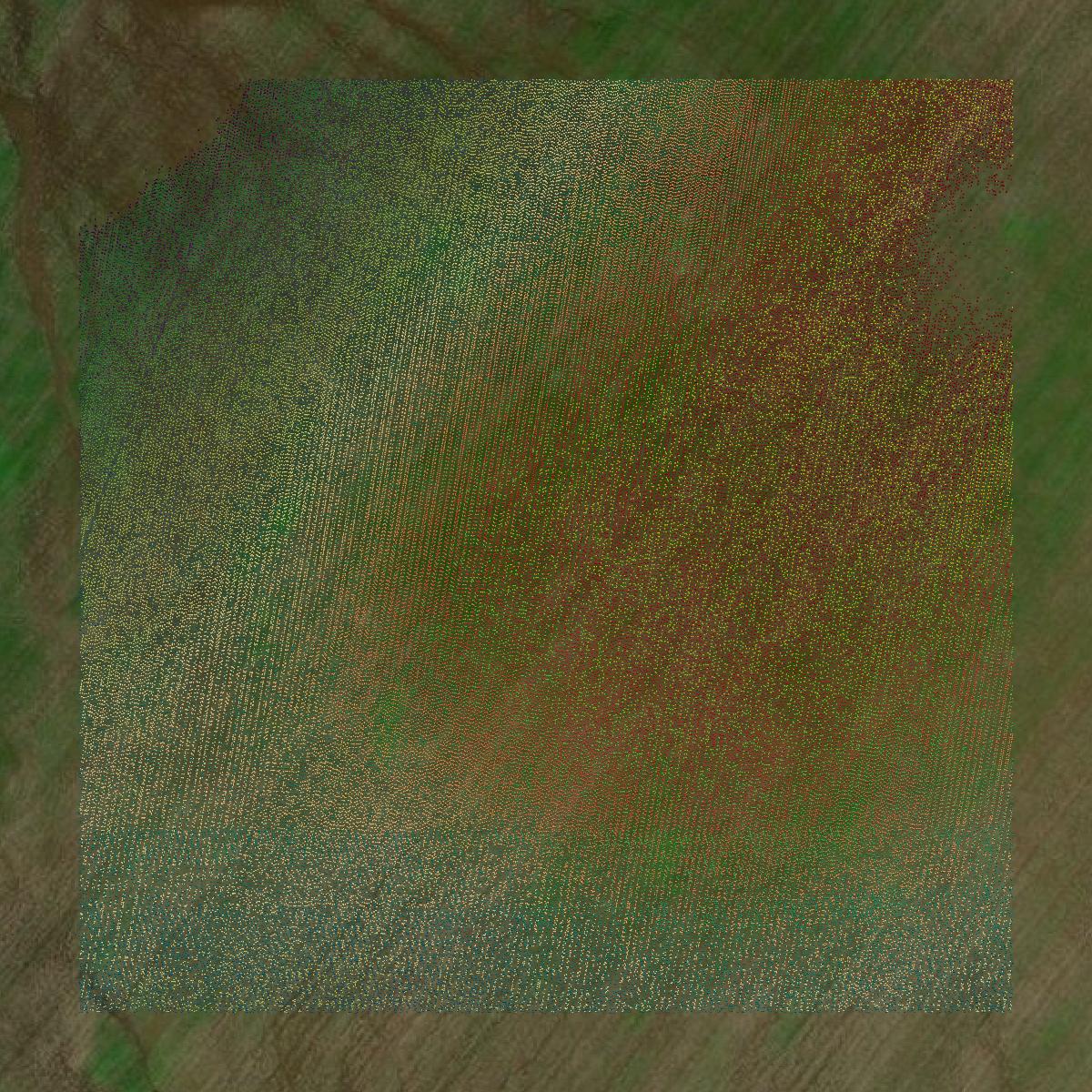 This image shows a LiDAR point cloud in Clarke County created using GIS data in Equator.