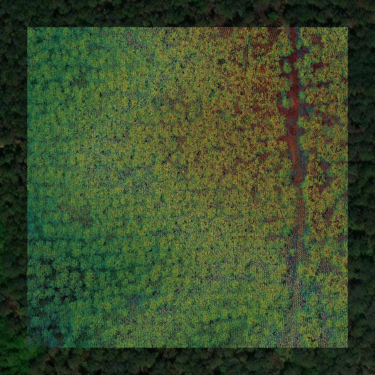 This image shows a LiDAR point cloud in Clay County created using GIS data in Equator.