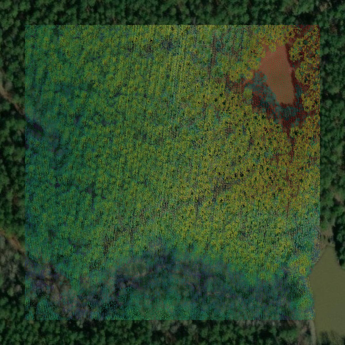 This image shows a LiDAR point cloud in Clay County created using GIS data in Equator.