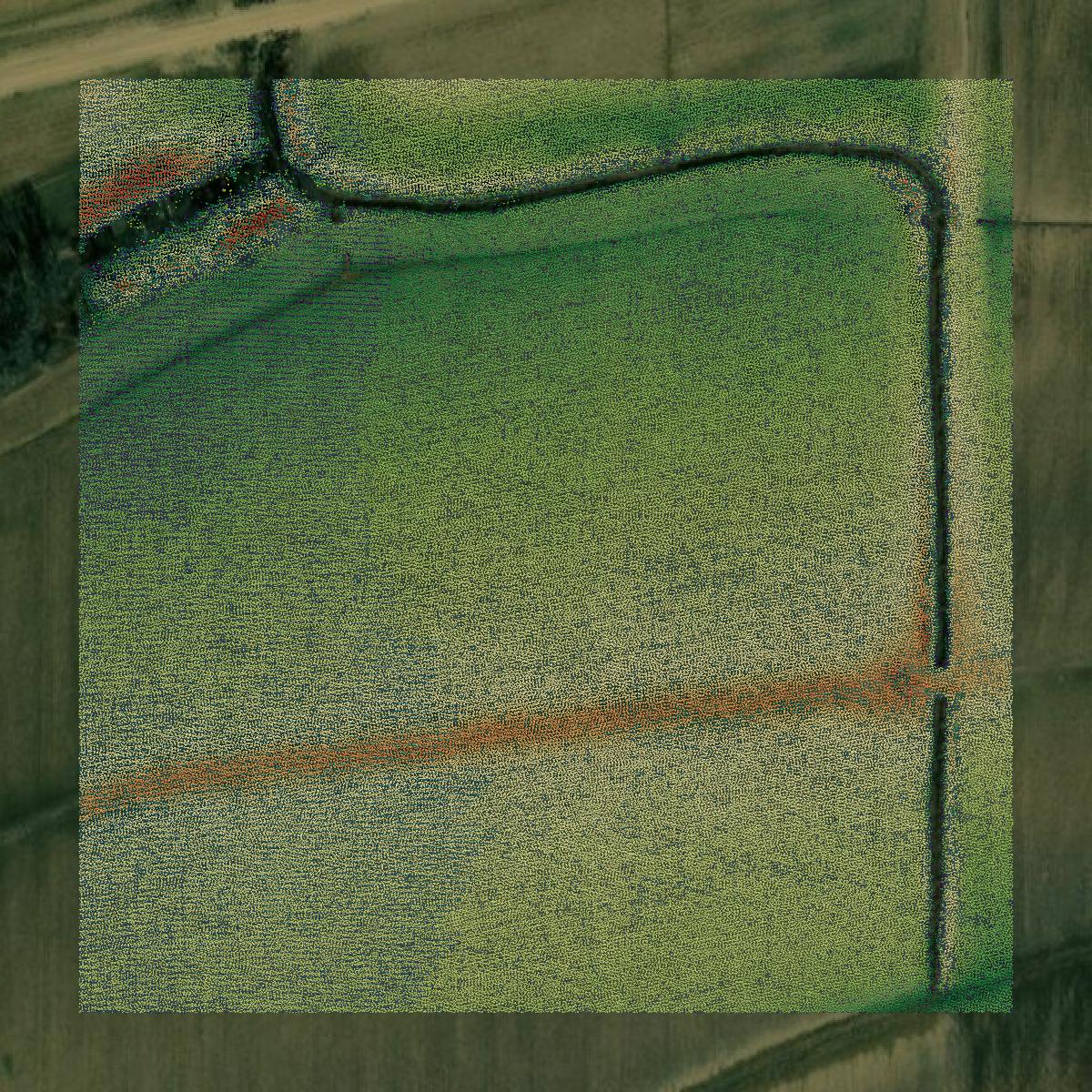 This image shows a LiDAR point cloud in Coahoma County created using GIS data in Equator.